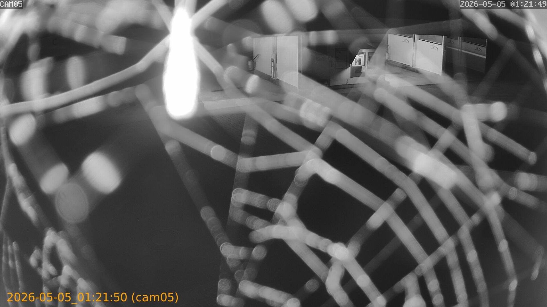 20260505012150