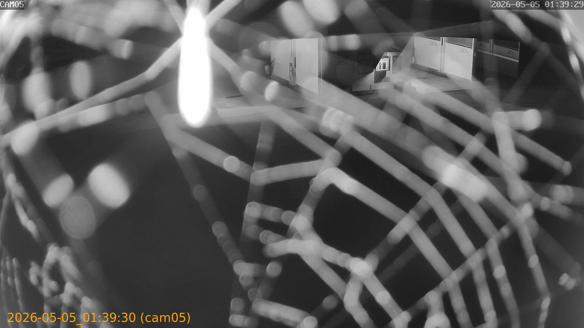 thumbnail_20260505013930