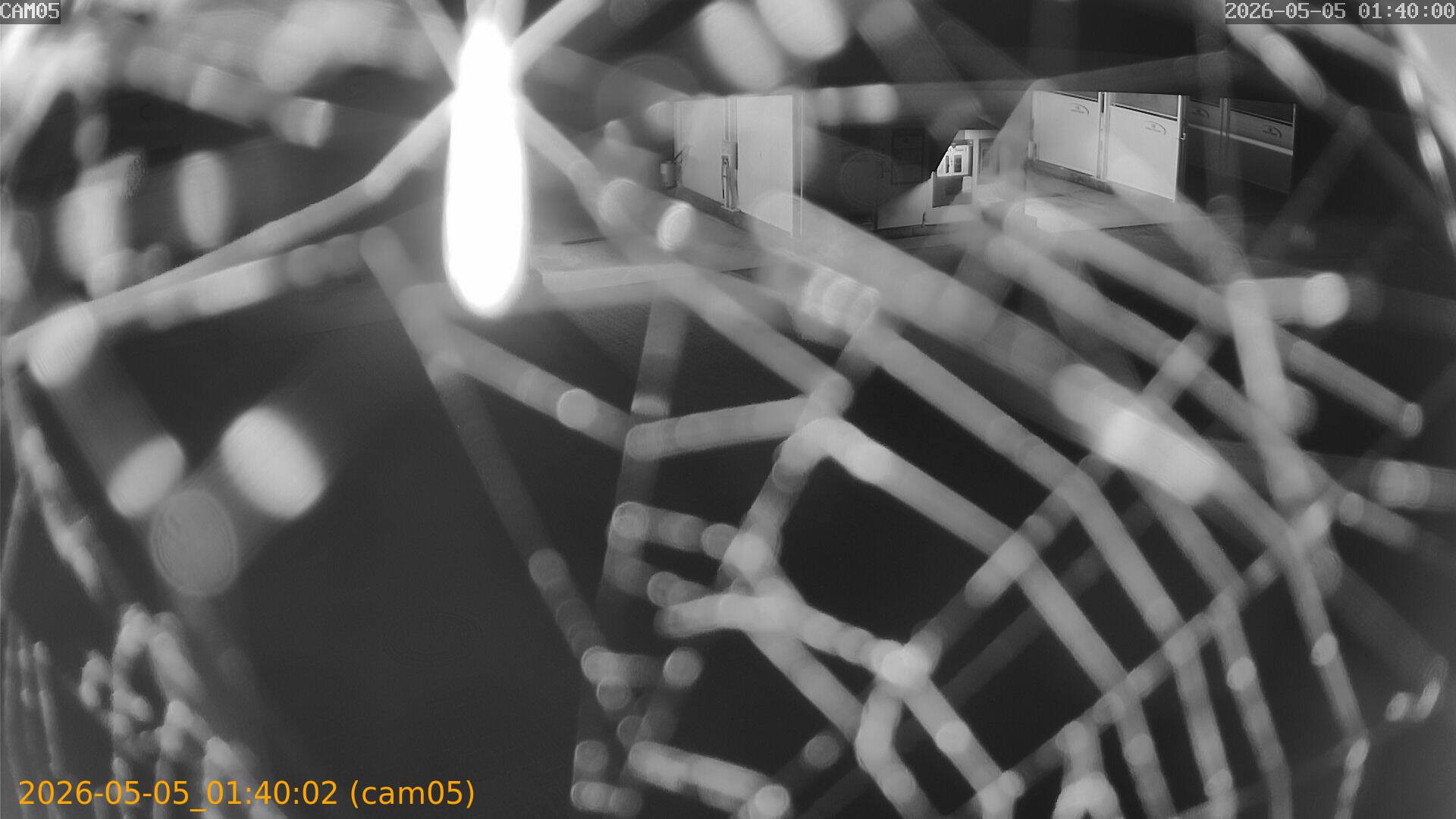 thumbnail_20260505014002