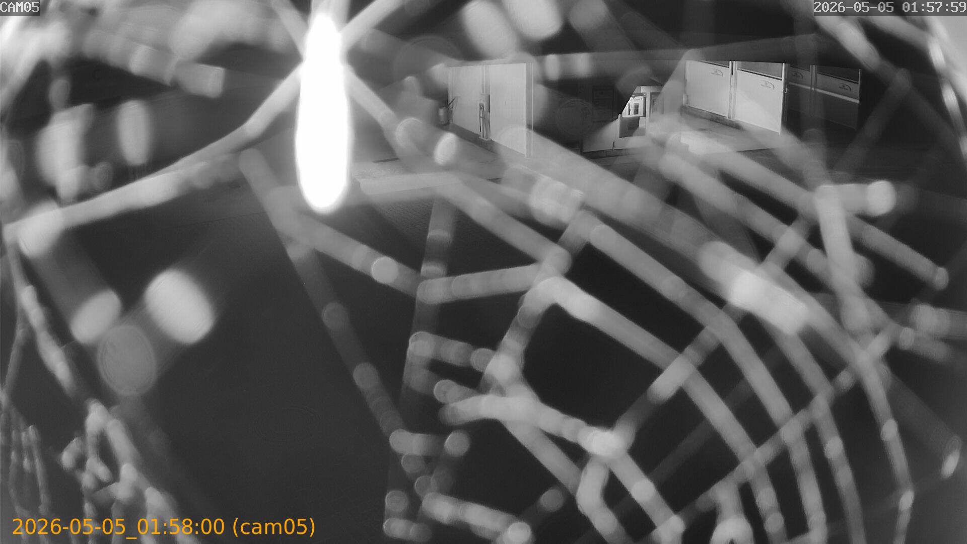 thumbnail_20260505015800