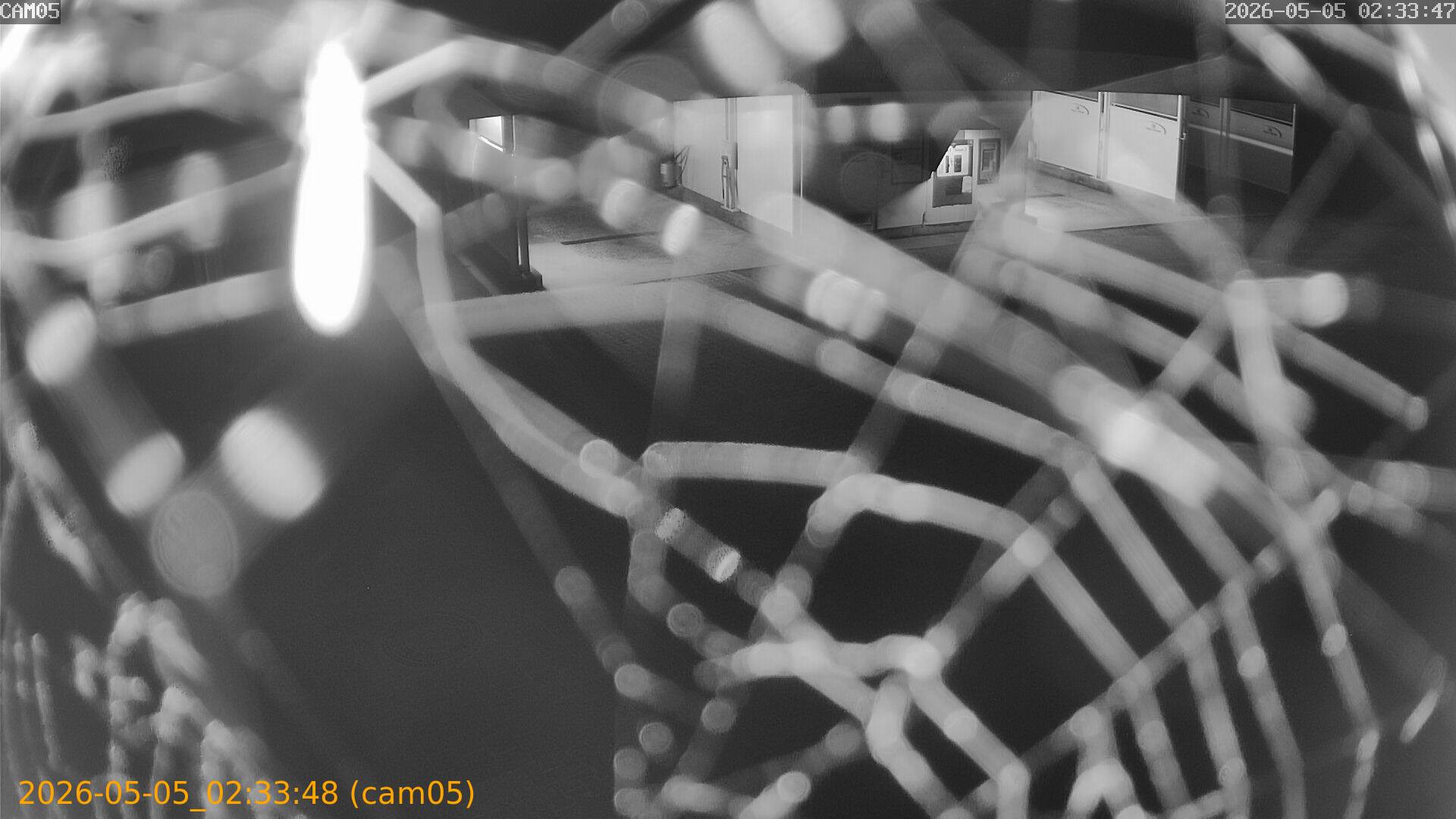 thumbnail_20260505023348