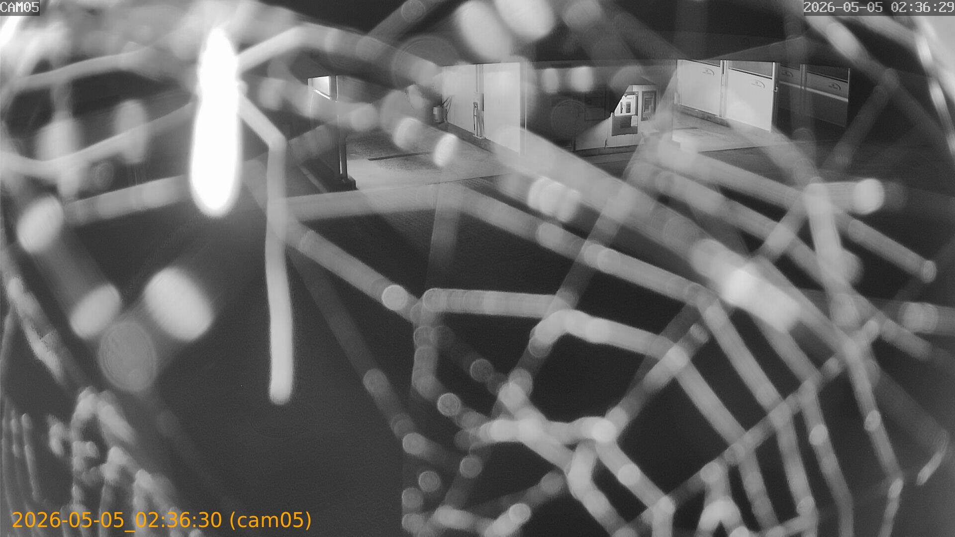 20260505023630
