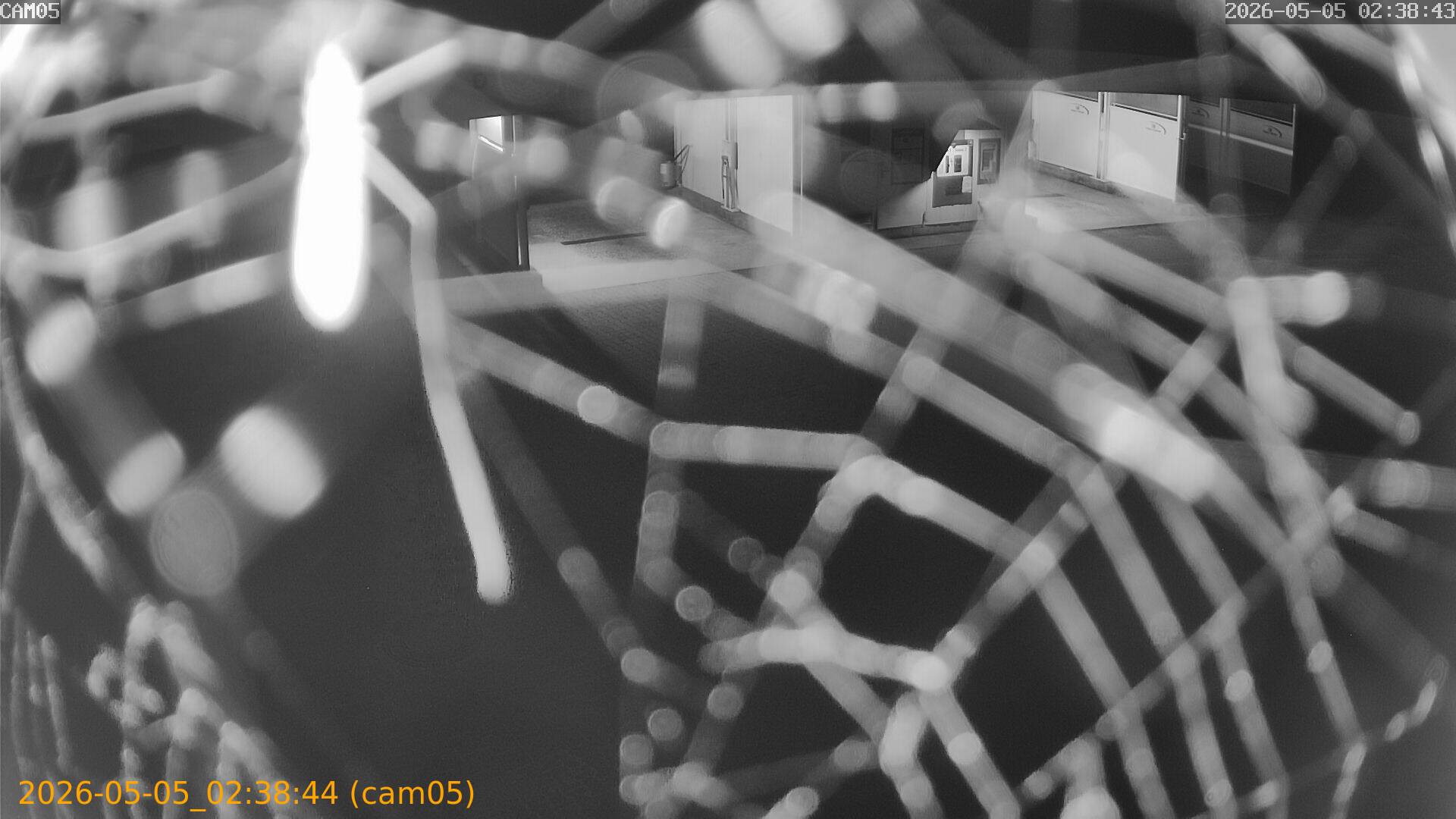 thumbnail_20260505023844