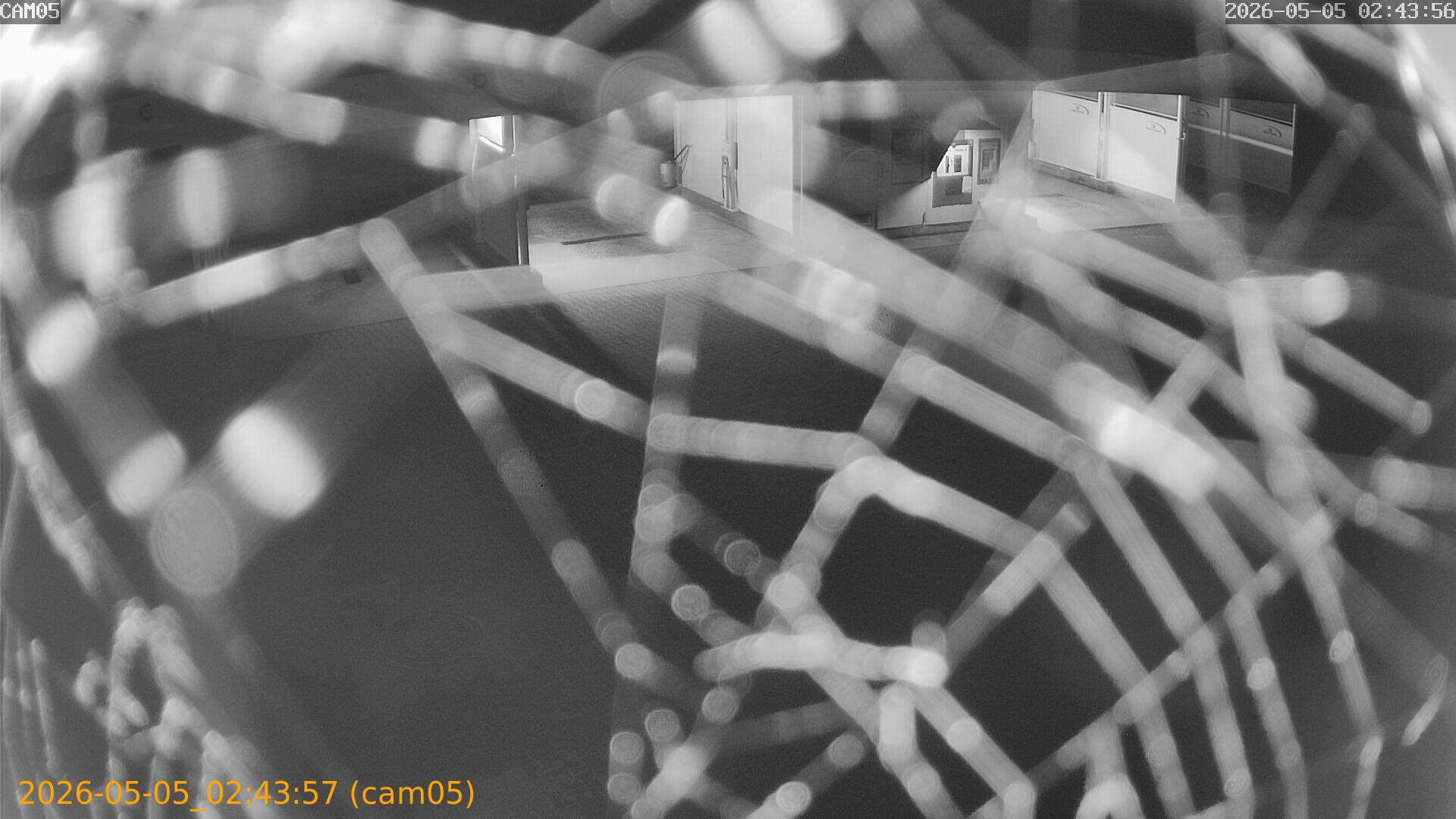 thumbnail_20260505024357