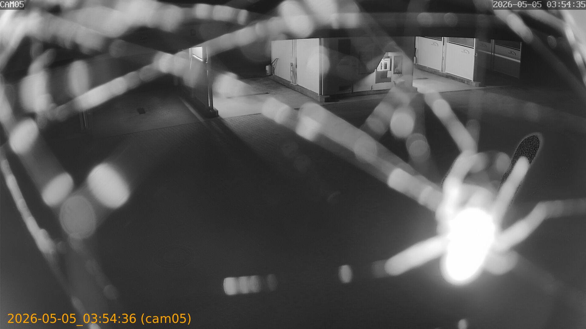 20260505035436