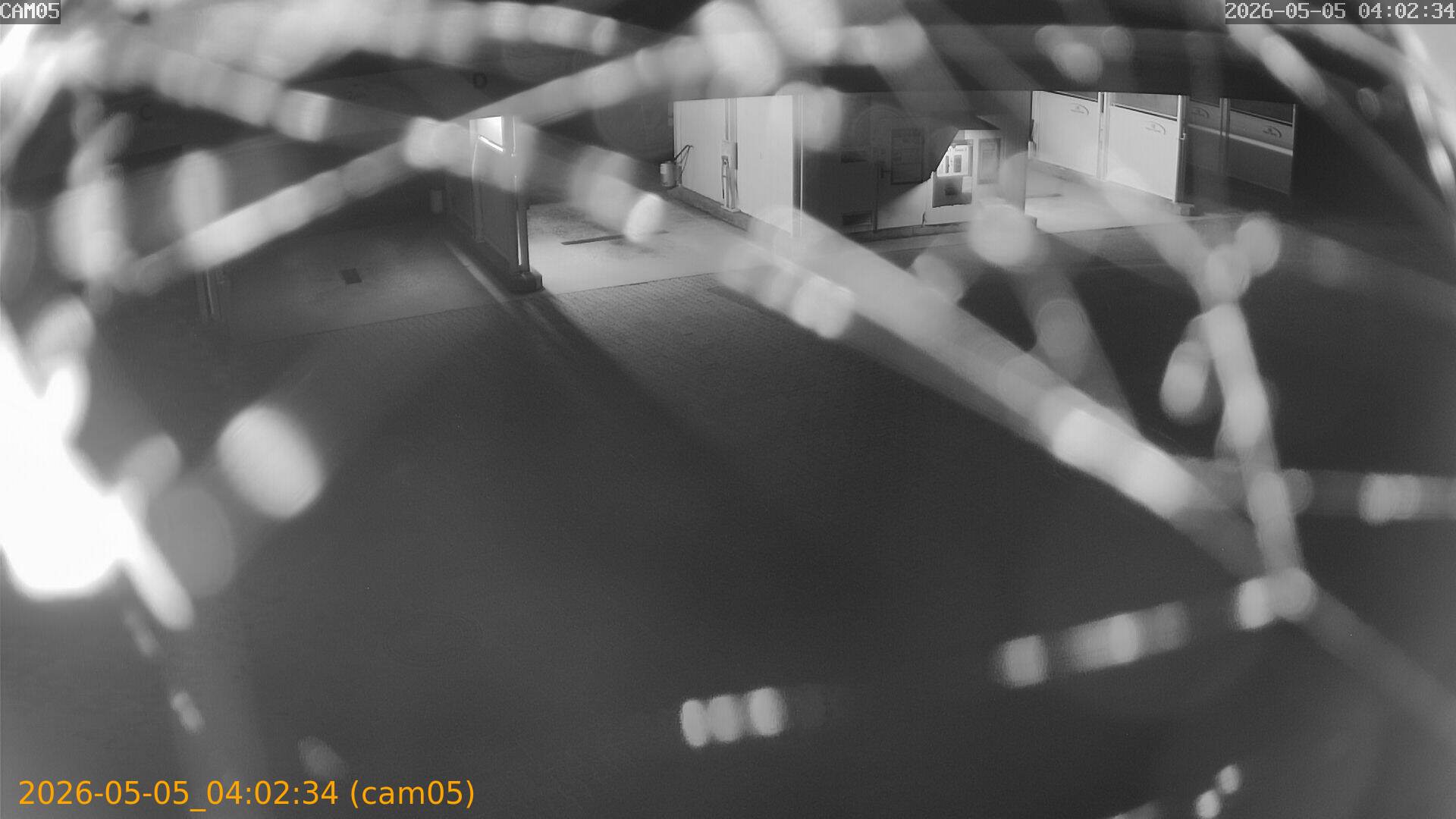 thumbnail_20260505040234