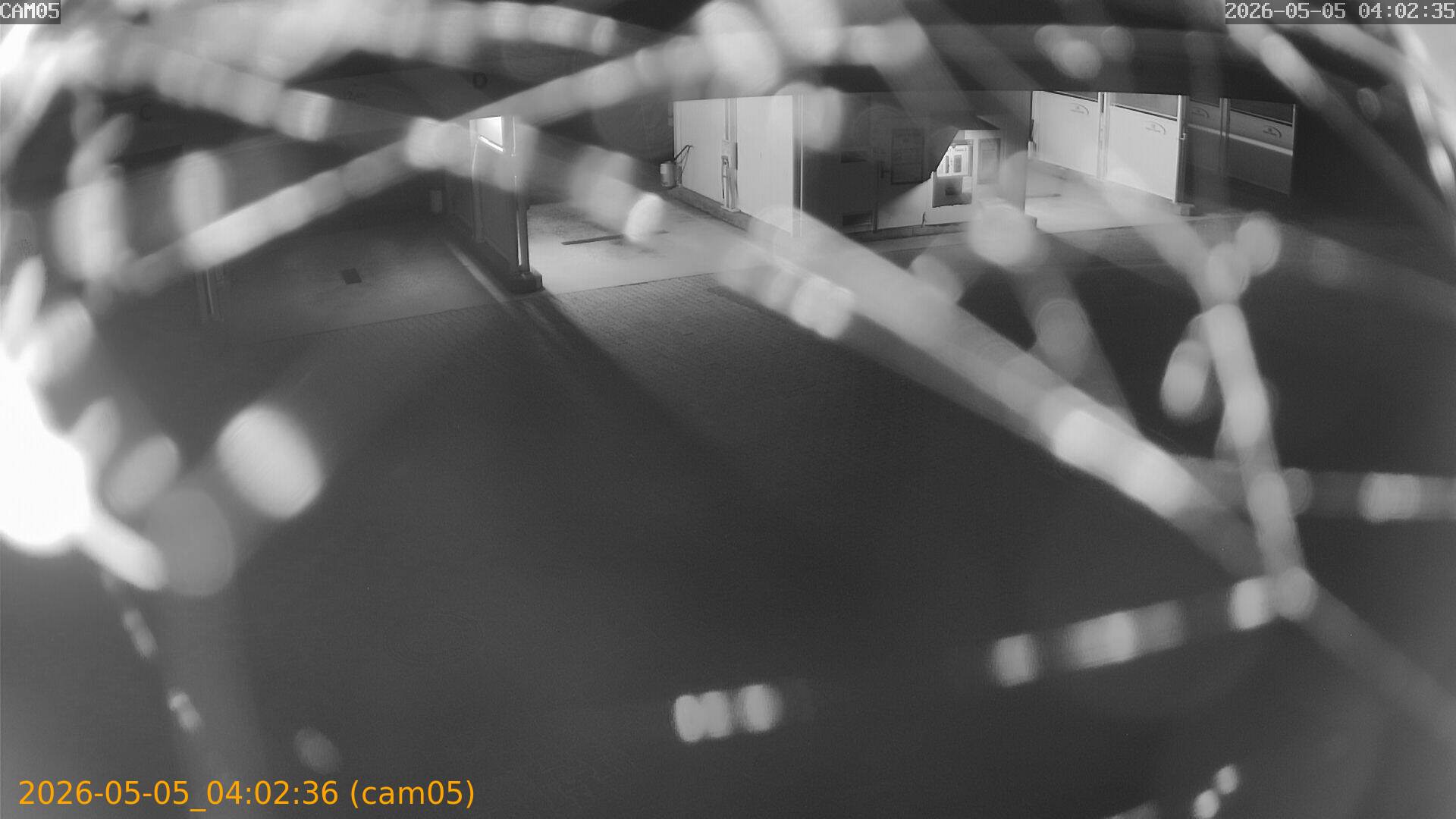 thumbnail_20260505040236
