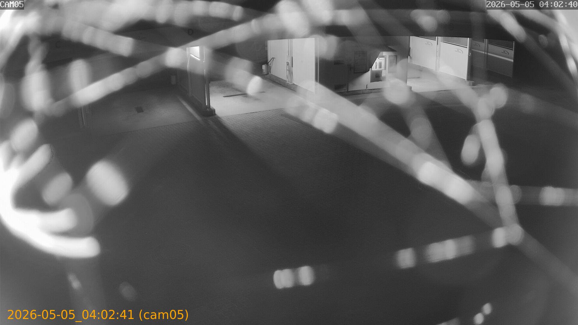 thumbnail_20260505040241