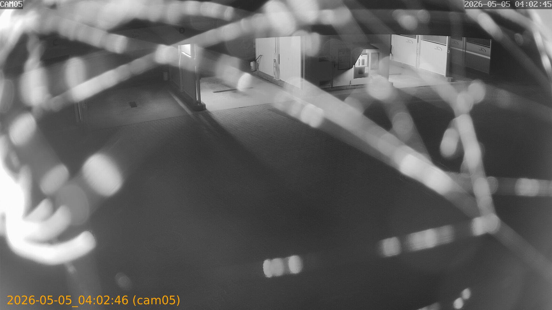 thumbnail_20260505040246