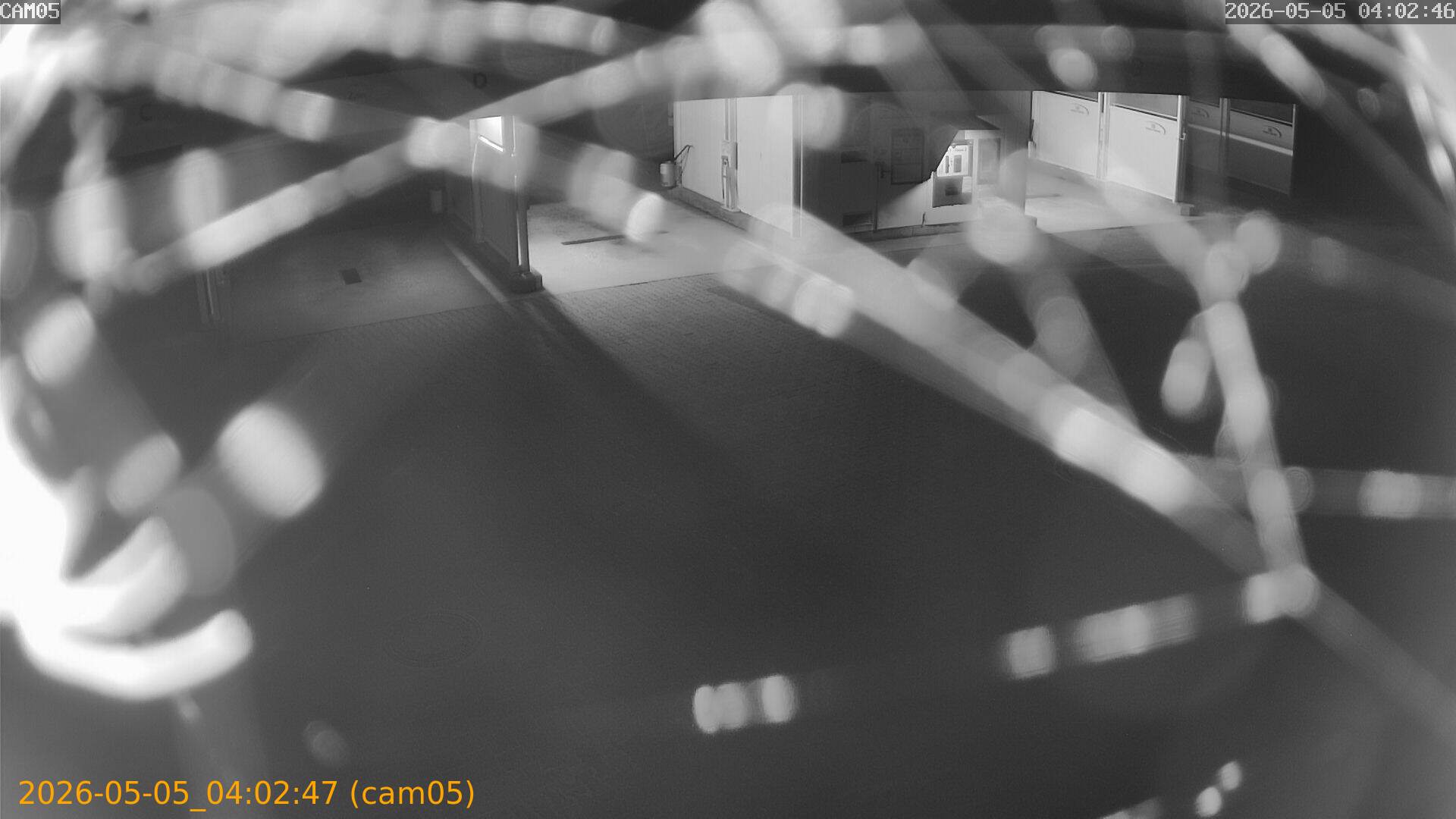 thumbnail_20260505040247