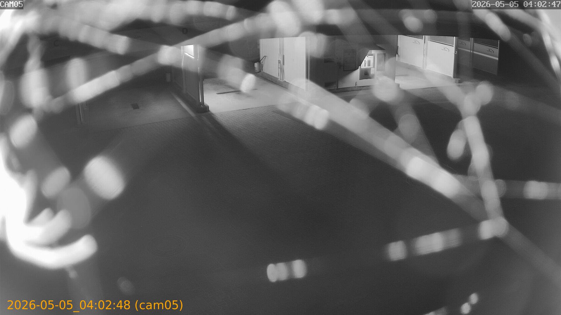 thumbnail_20260505040248