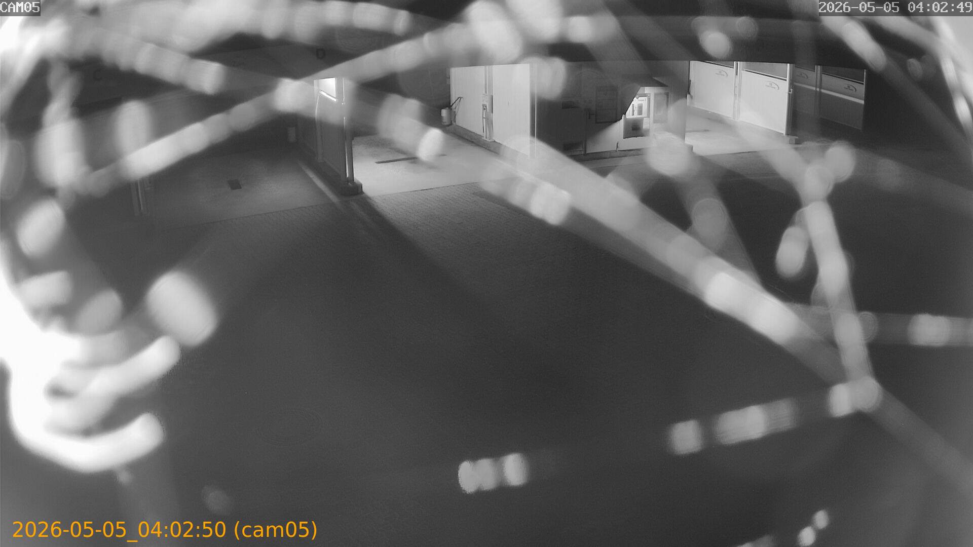 thumbnail_20260505040250