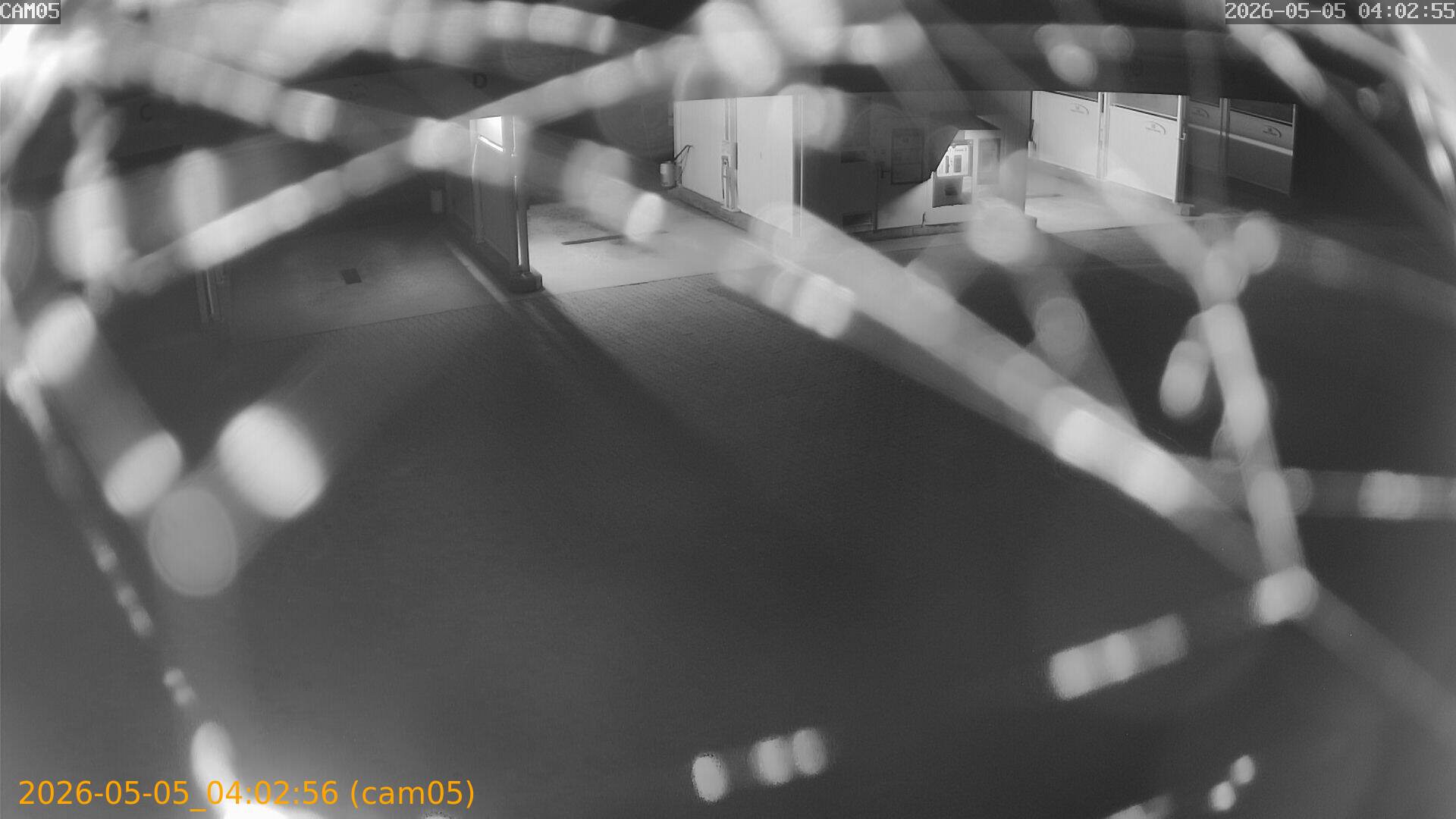 thumbnail_20260505040256