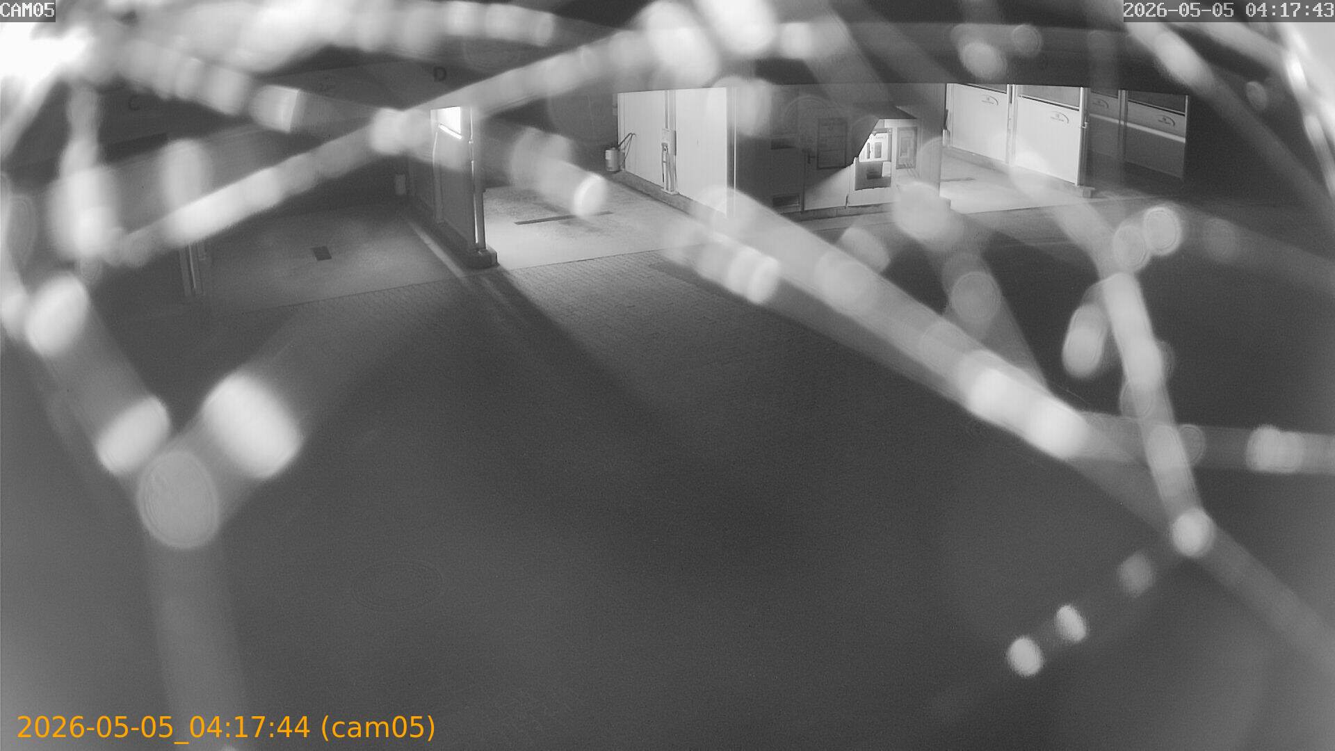 thumbnail_20260505041744