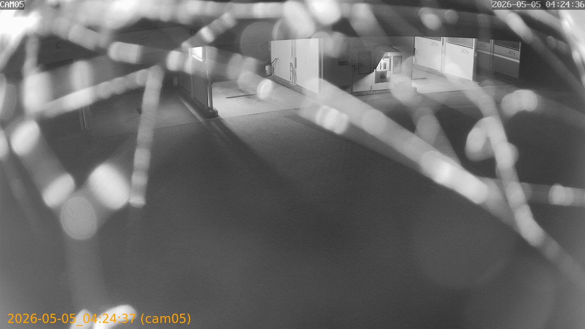 thumbnail_20260505042437
