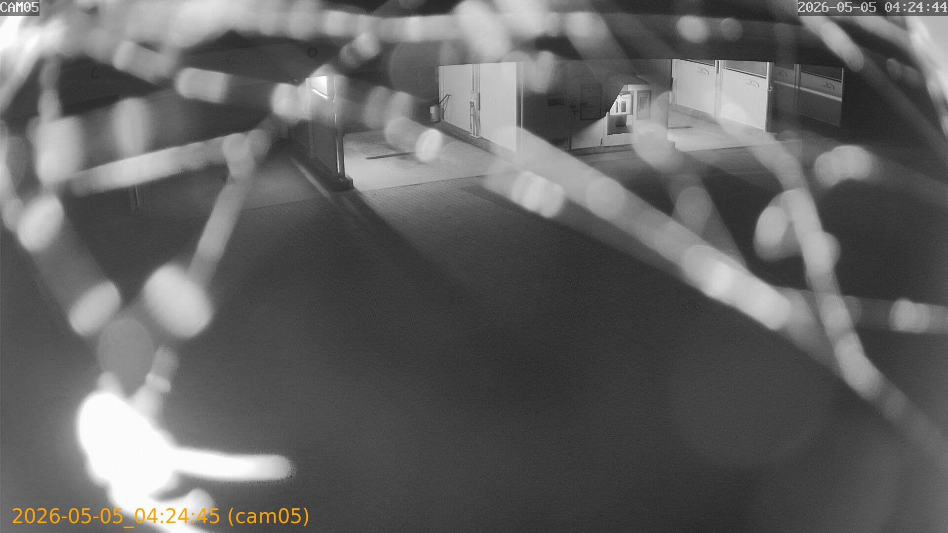 thumbnail_20260505042445
