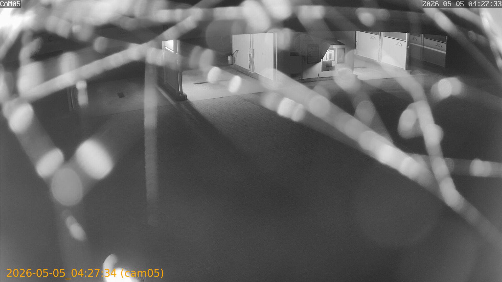 thumbnail_20260505042734