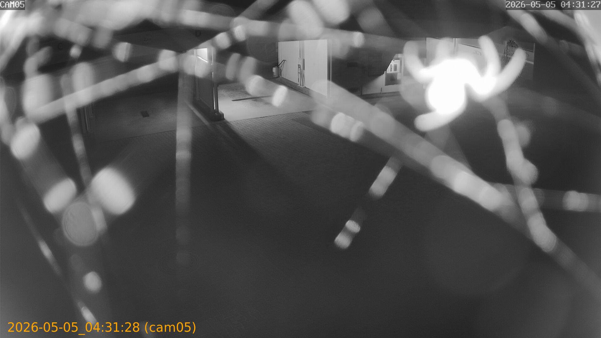 thumbnail_20260505043128