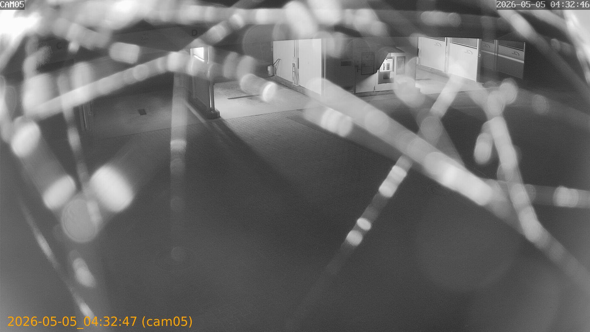 thumbnail_20260505043247
