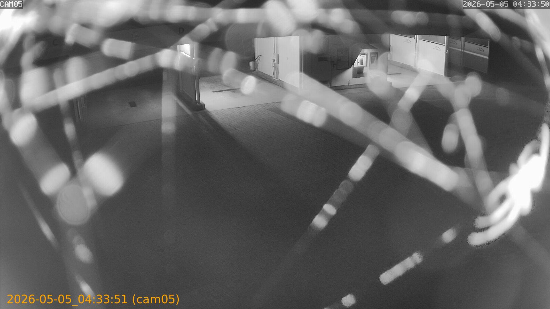 20260505043351