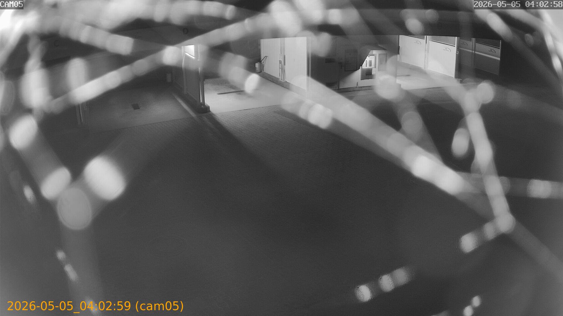 thumbnail_202605050402