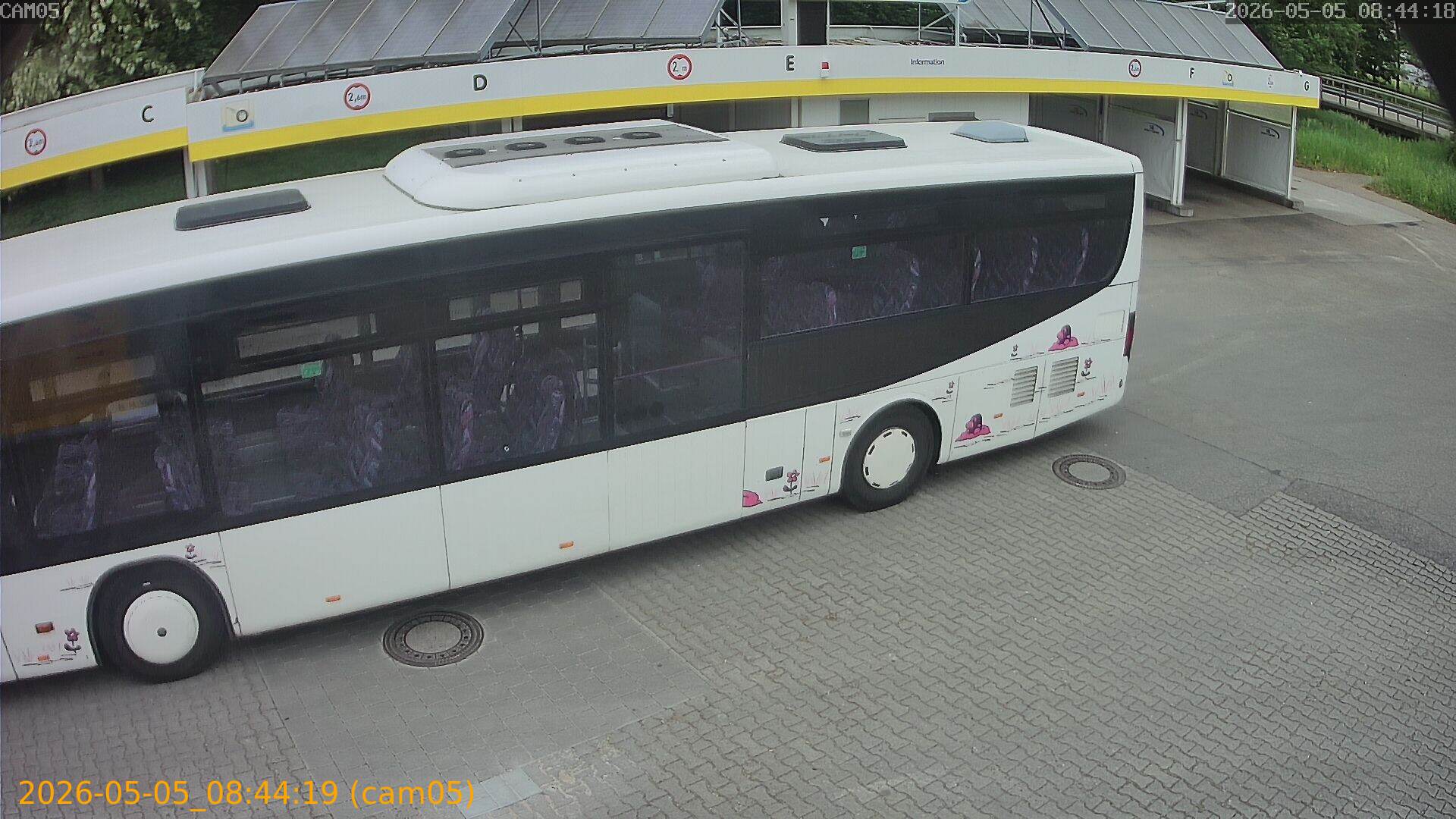 thumbnail_20260505084419