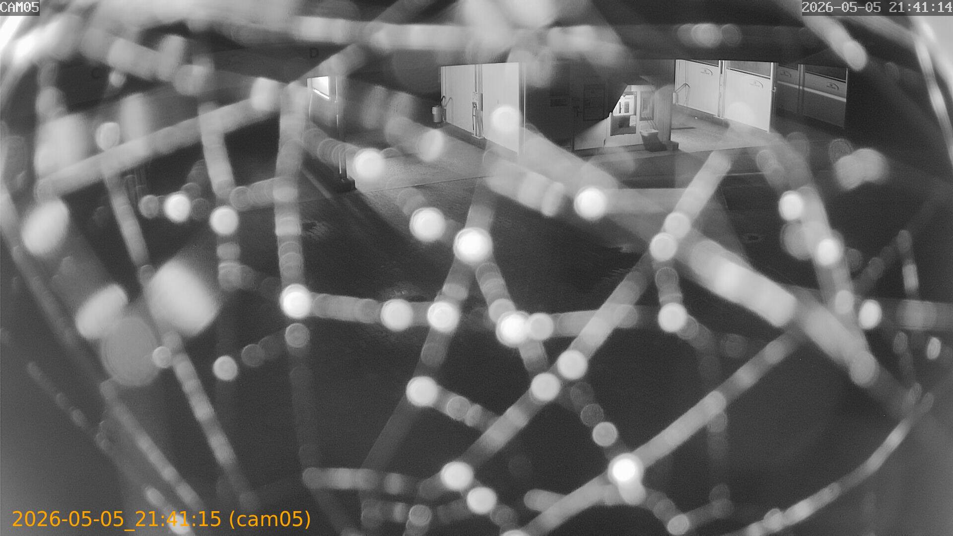 20260505214115