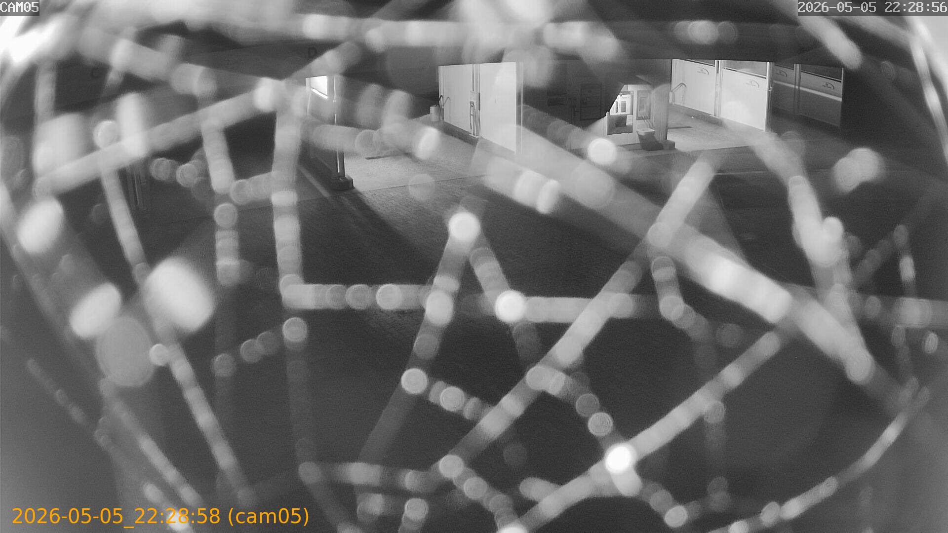 thumbnail_20260505222858