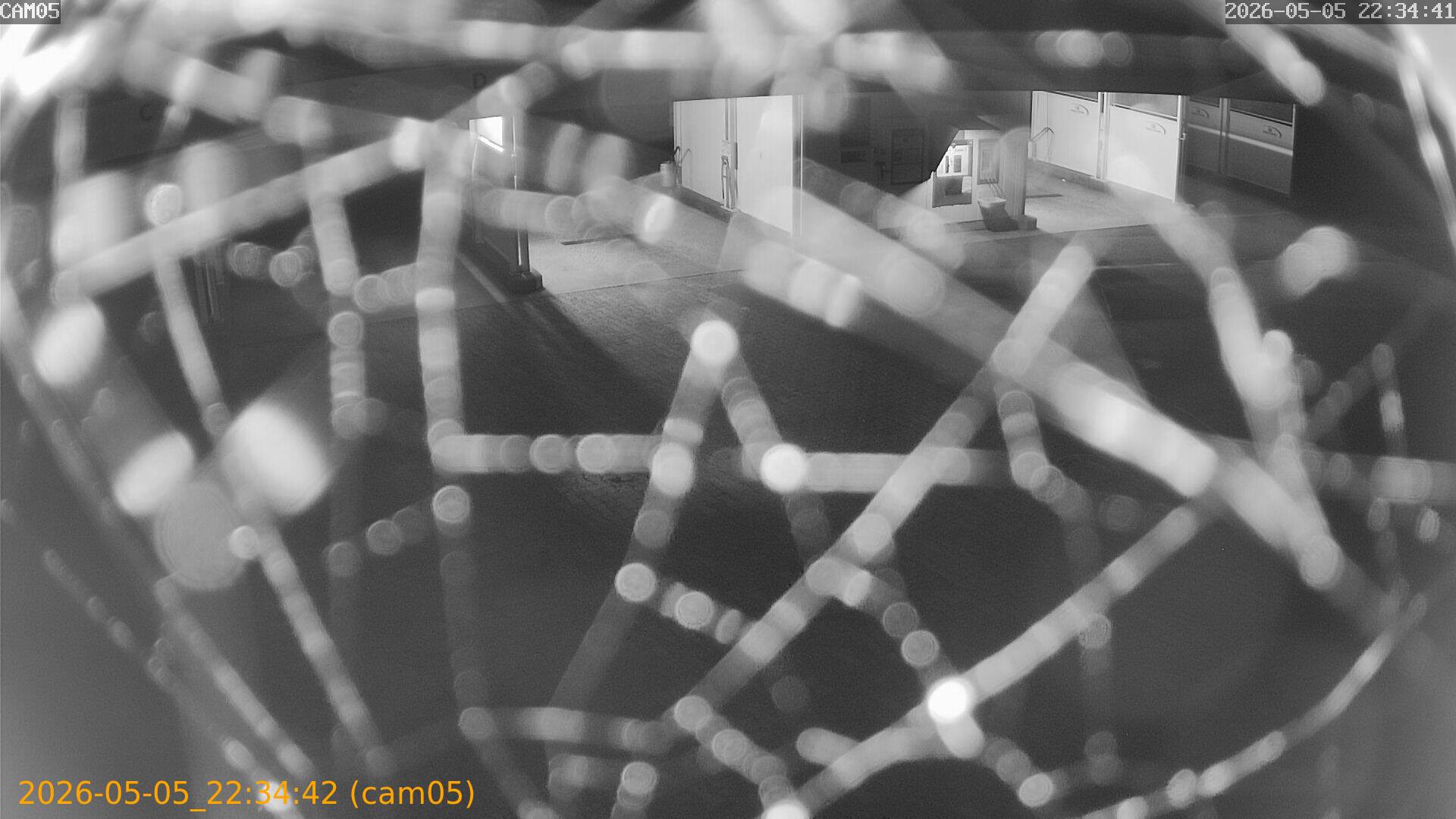 thumbnail_20260505223442