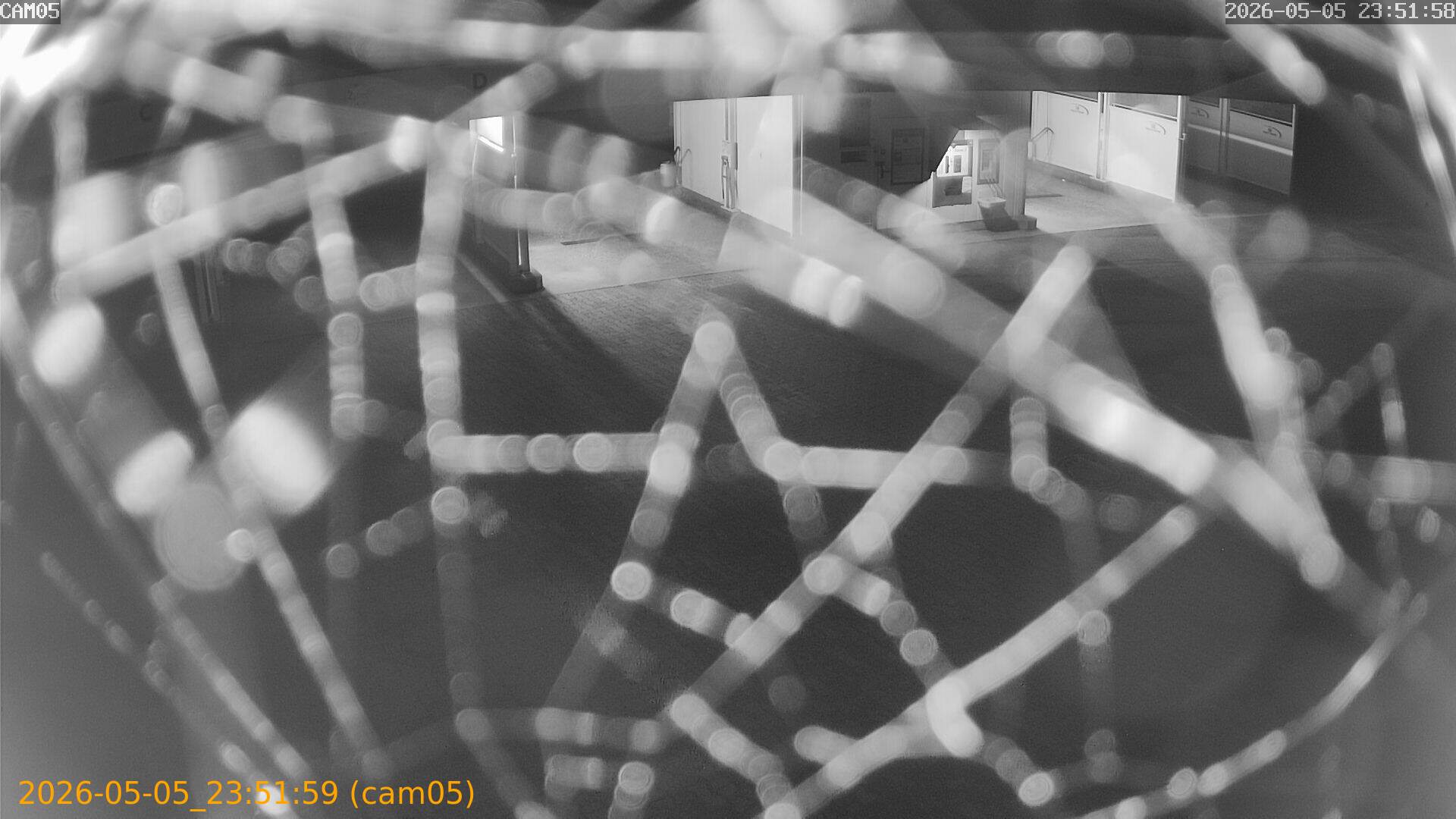 202605052351