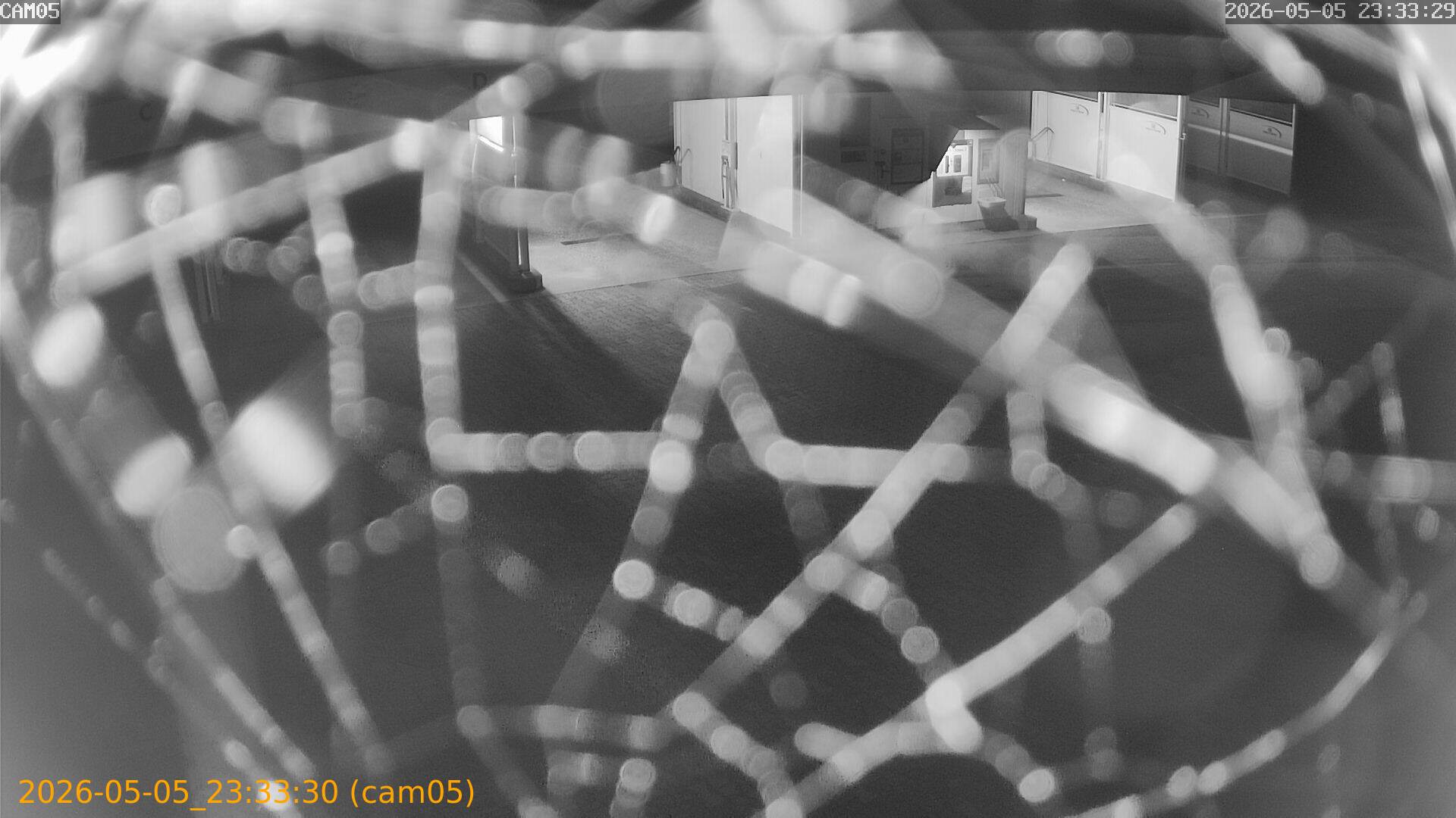 thumbnail_20260505233330