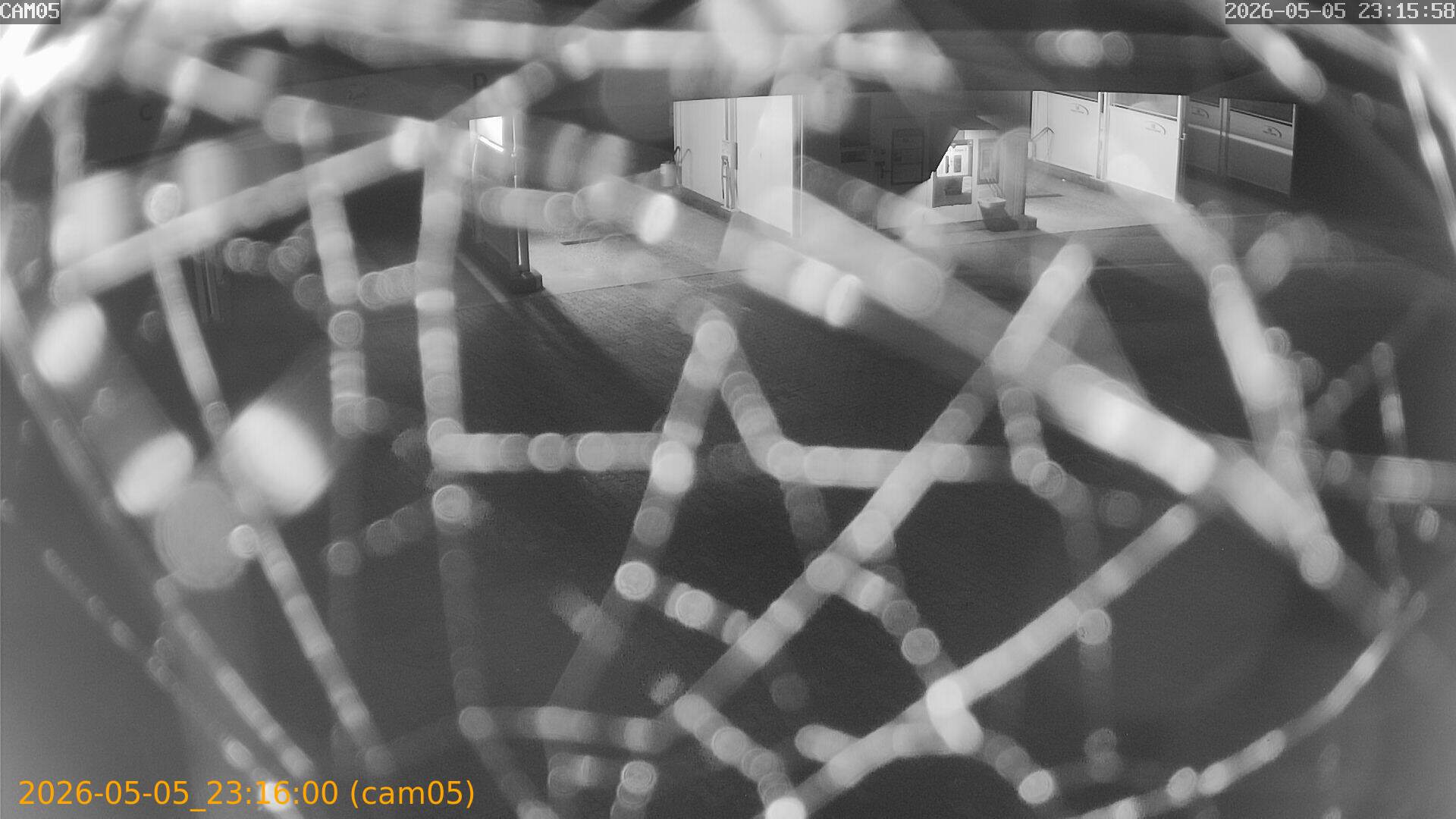 thumbnail_202605052315