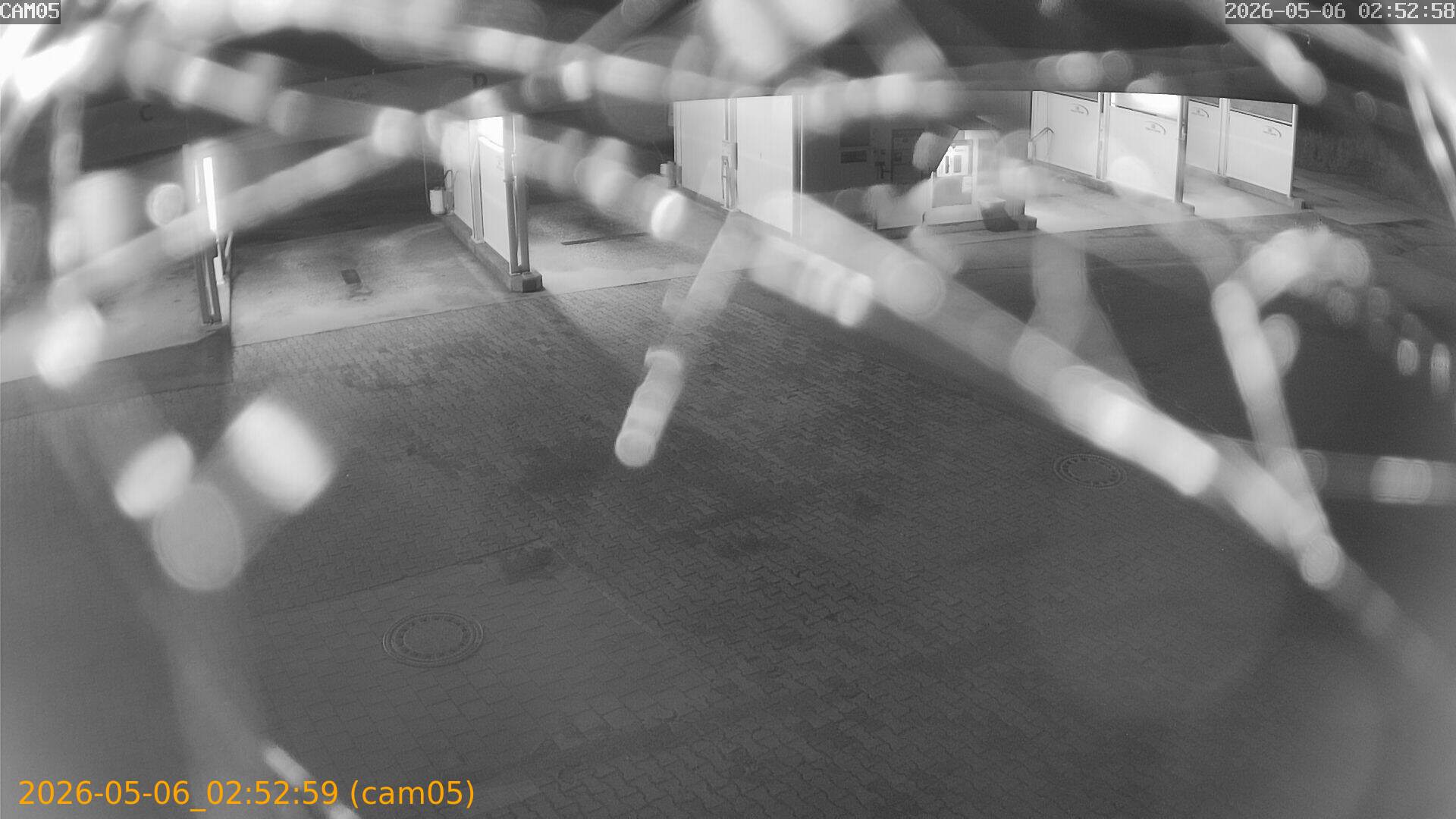 202605060252