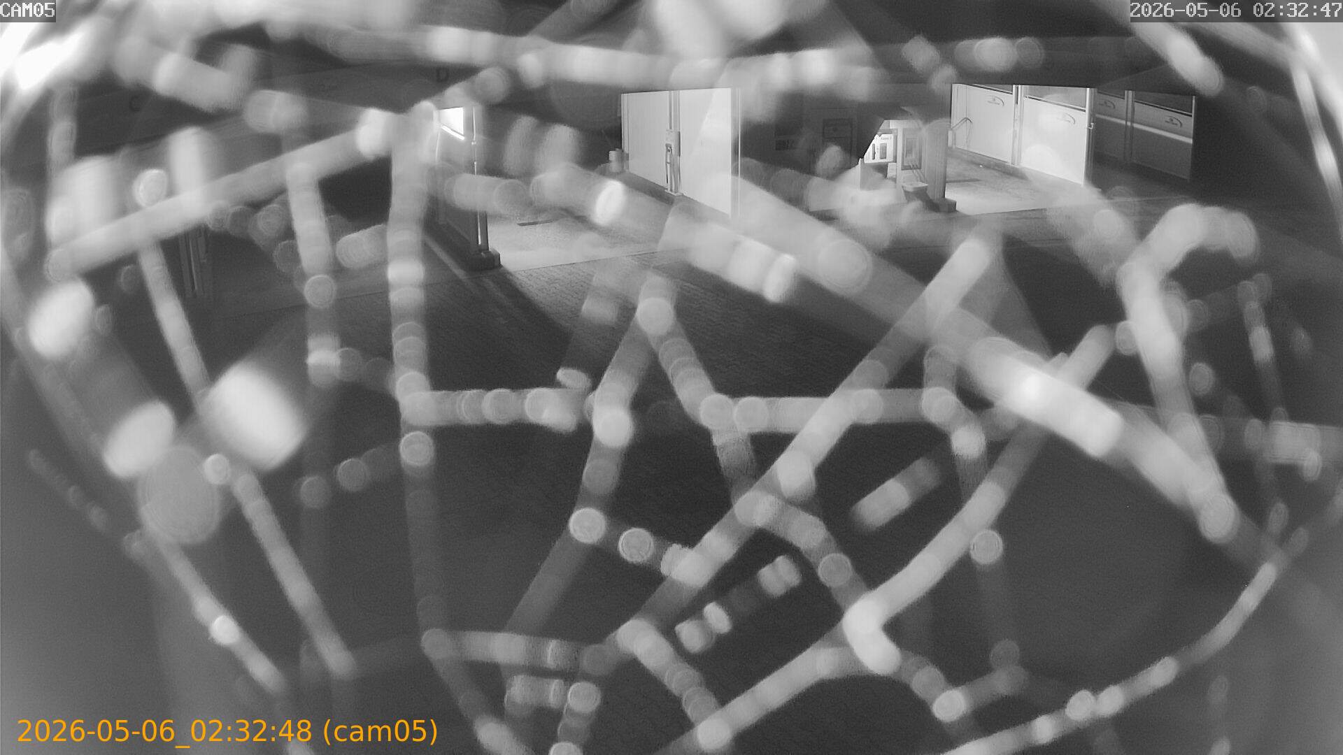 20260506023248