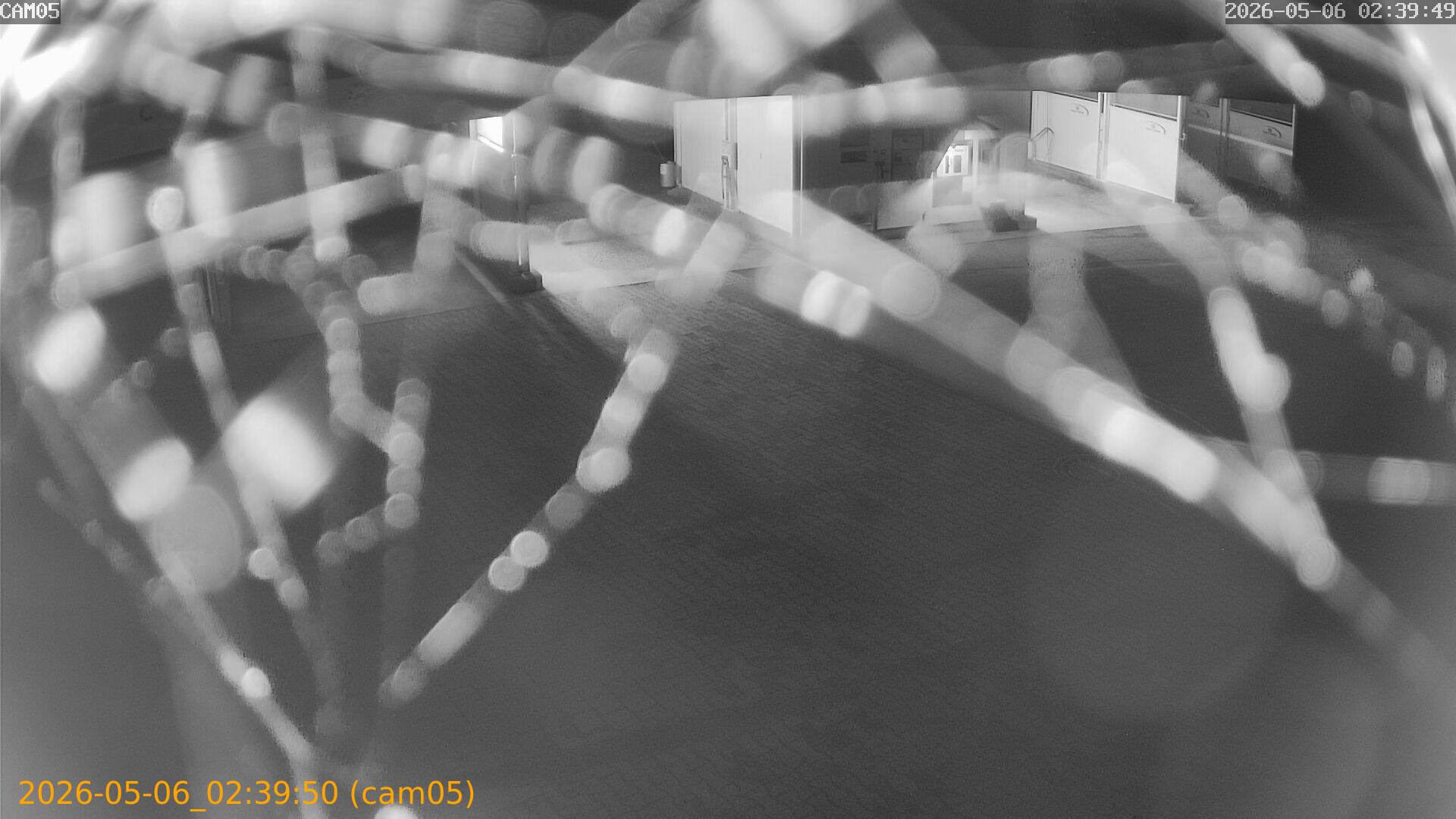 thumbnail_20260506023950