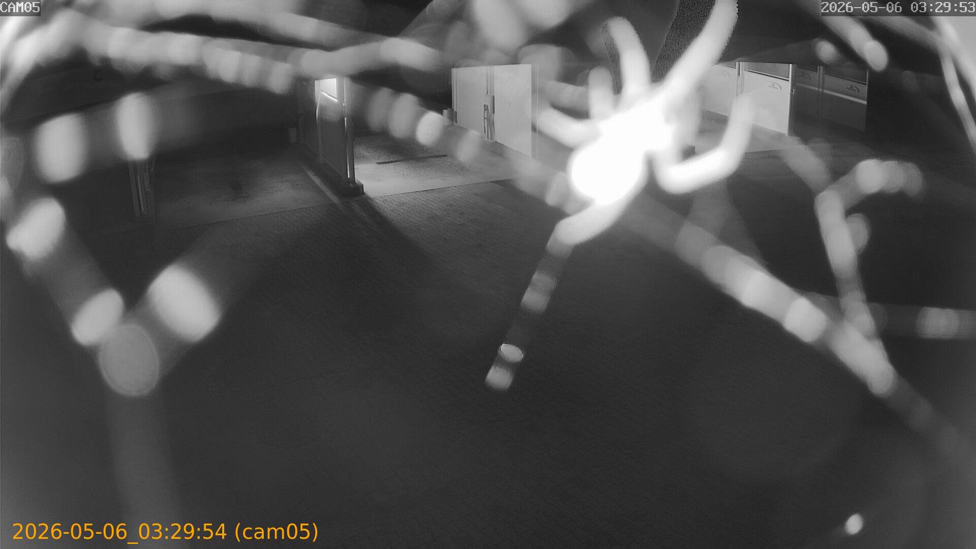 20260506032954