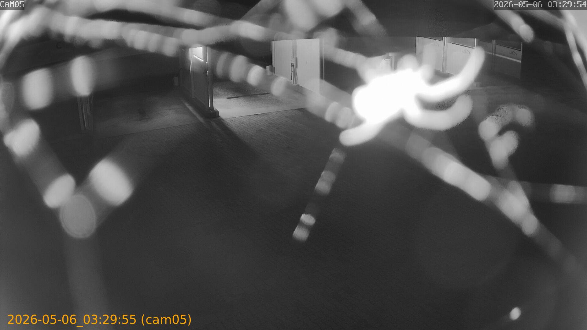 20260506032955