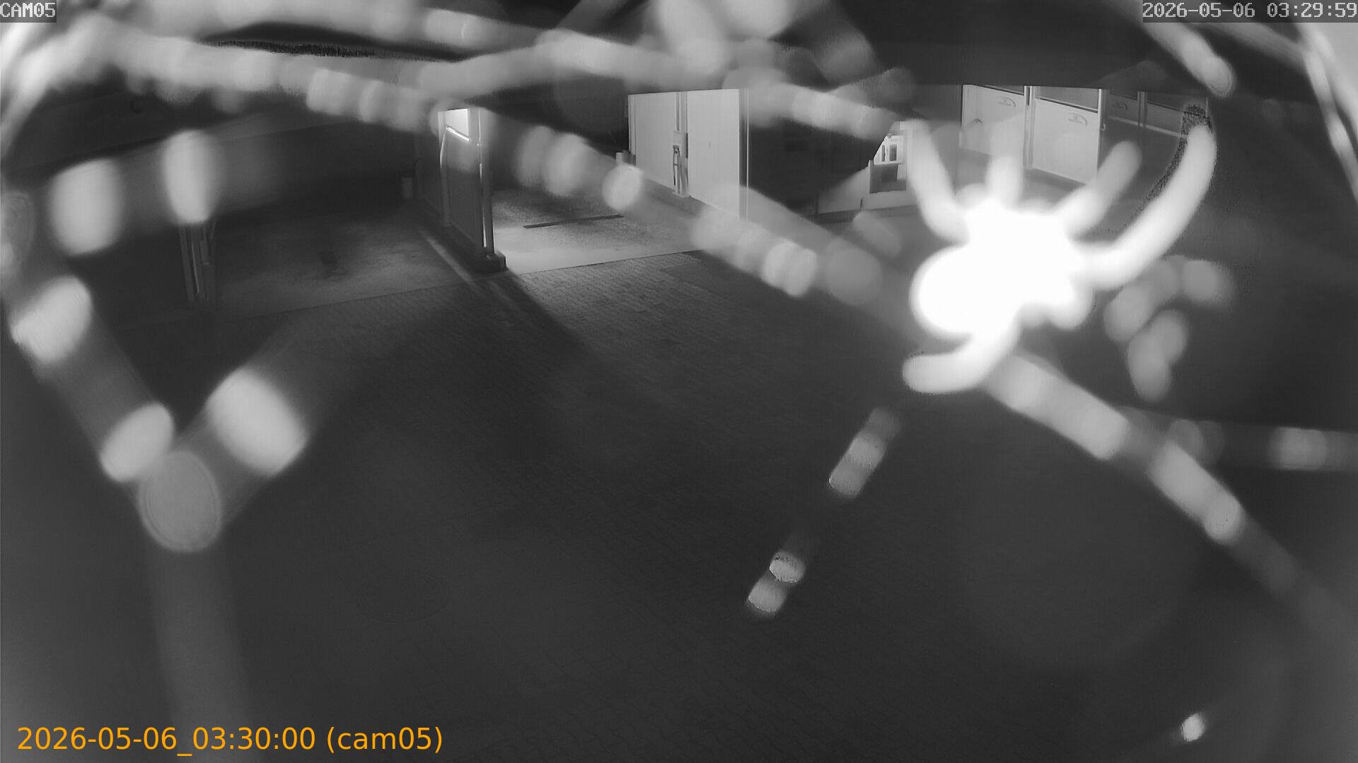 thumbnail_20260506033000