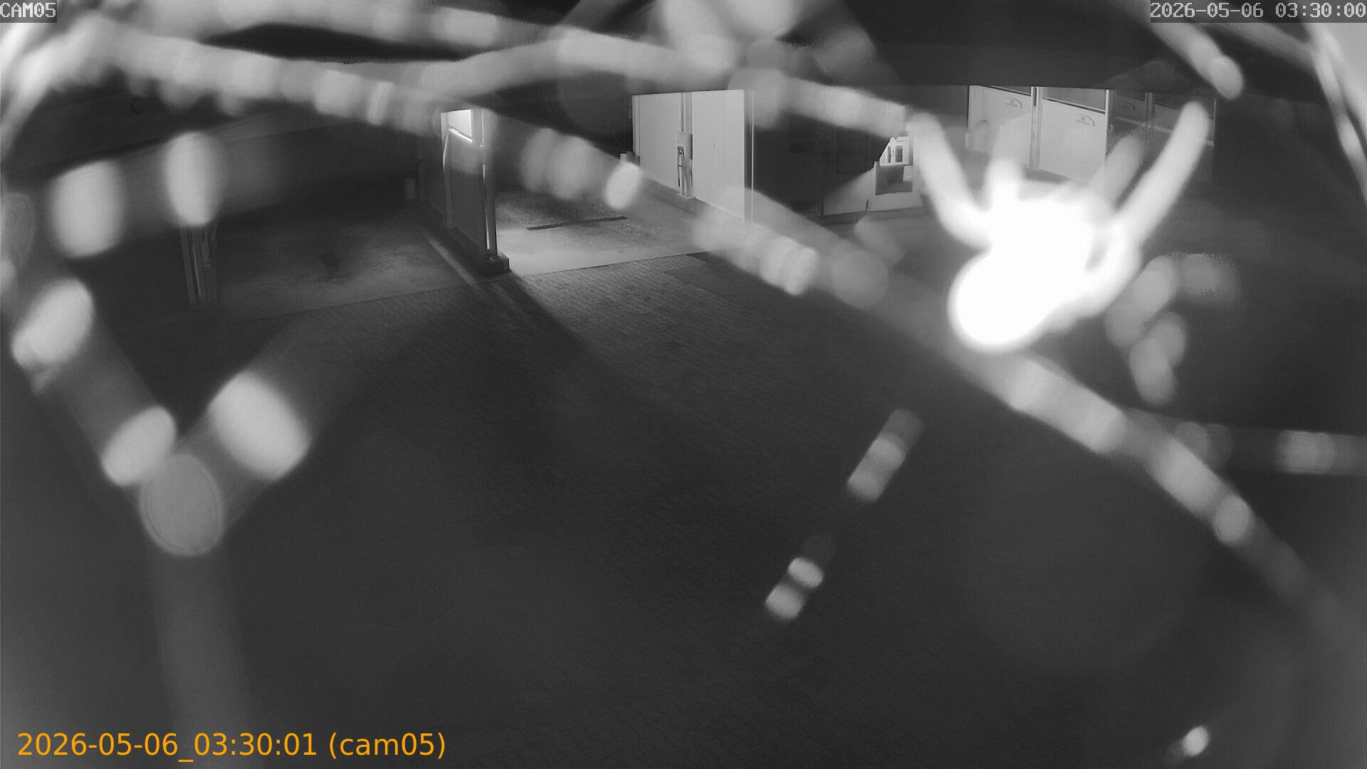 thumbnail_20260506033001