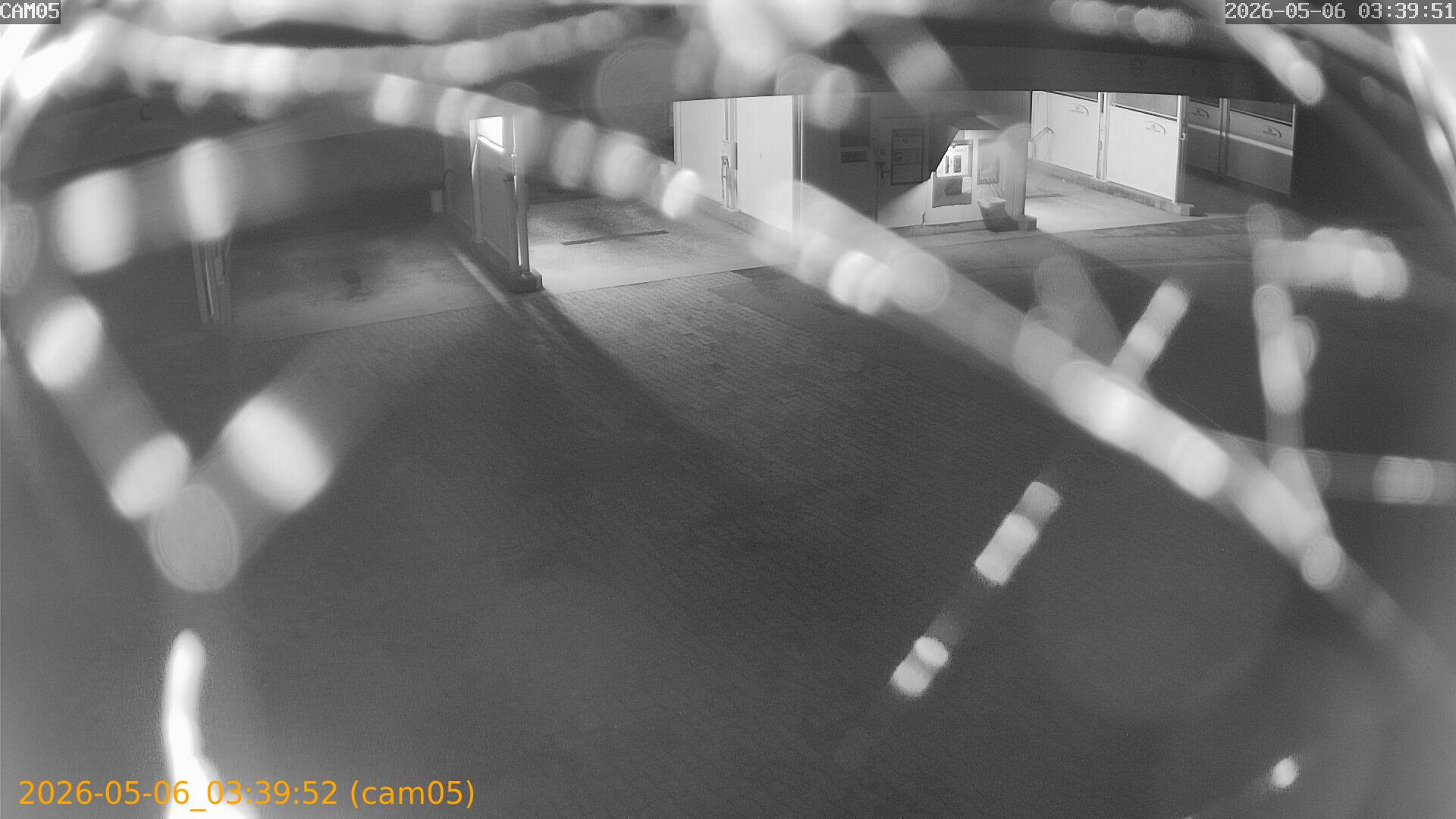 20260506033952