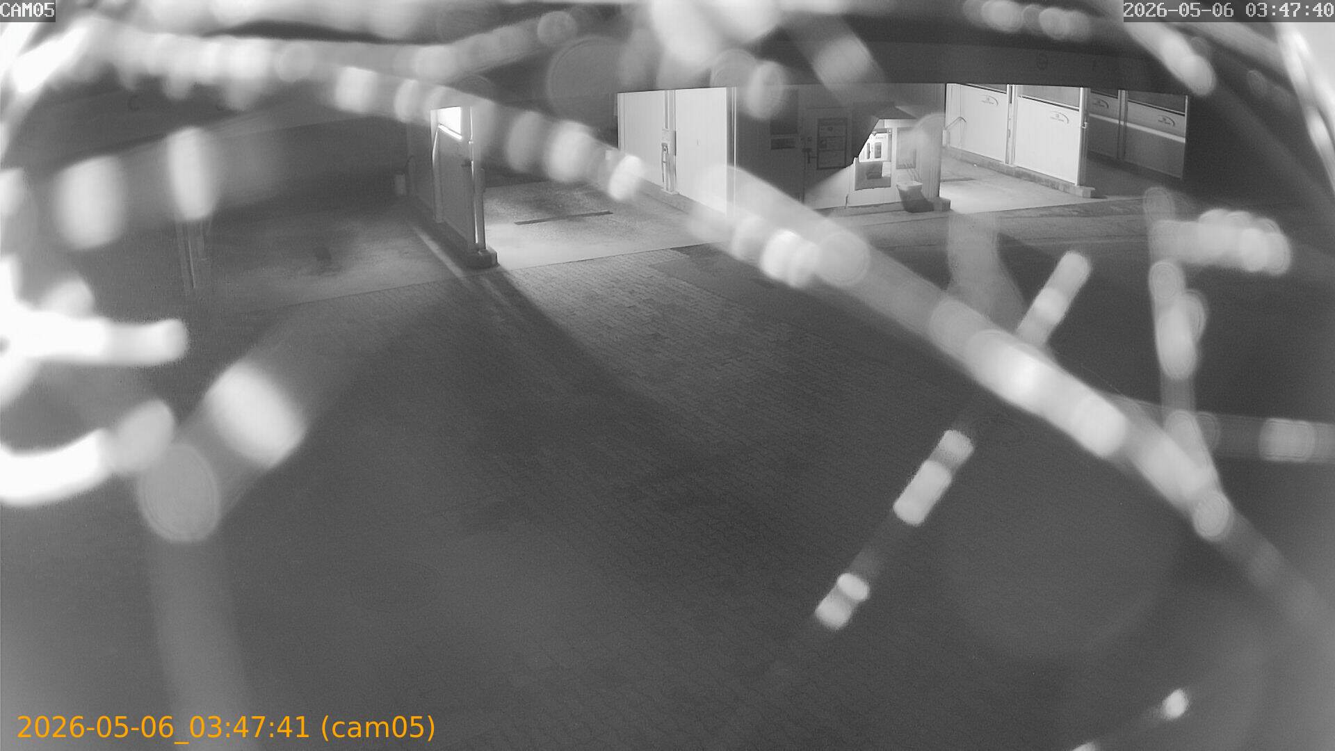 thumbnail_20260506034741