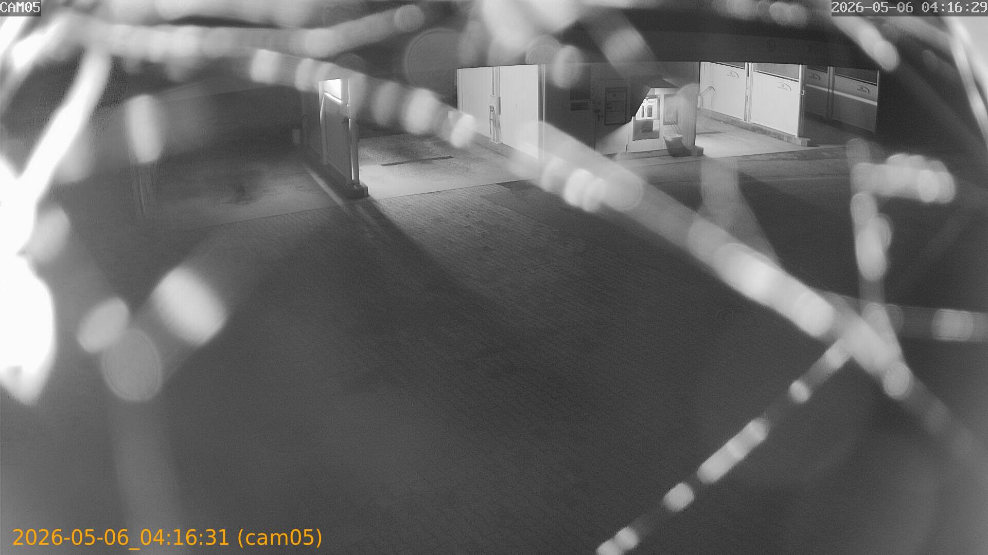 20260506041631