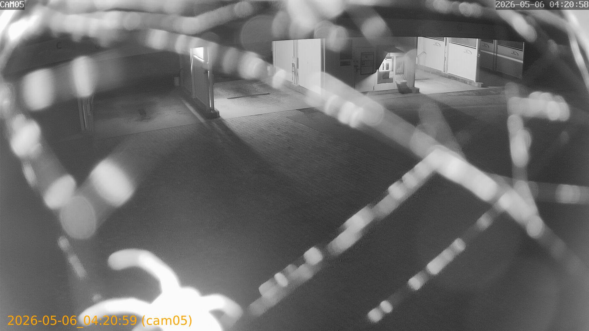 202605060420