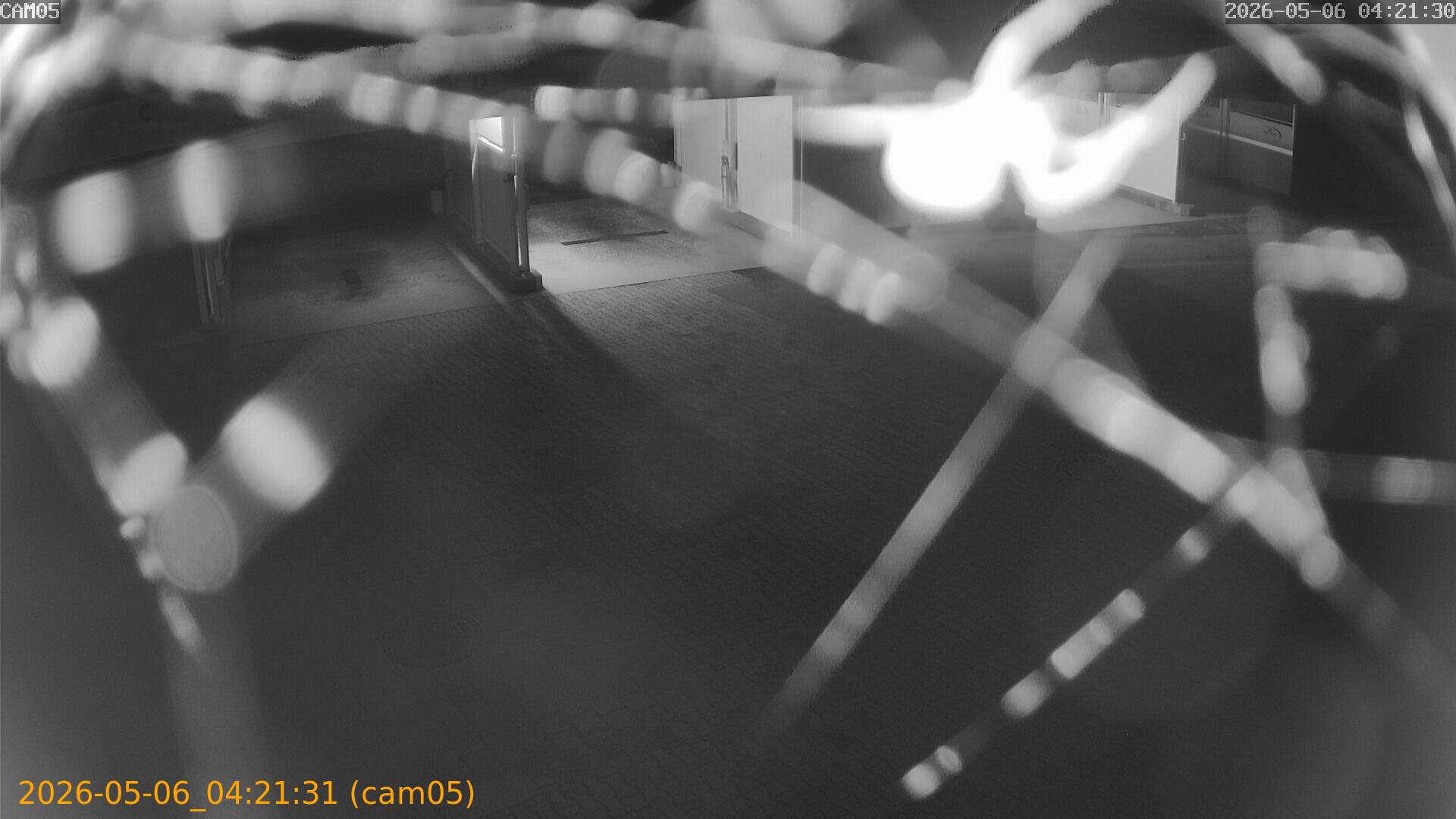 20260506042131