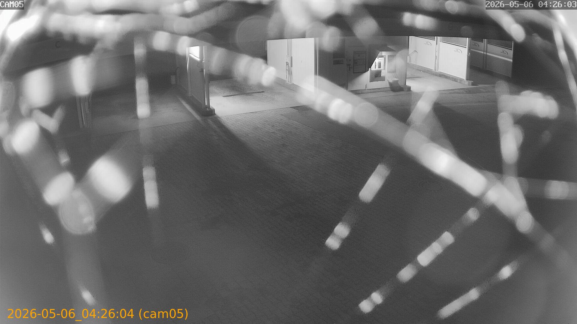 thumbnail_20260506042604