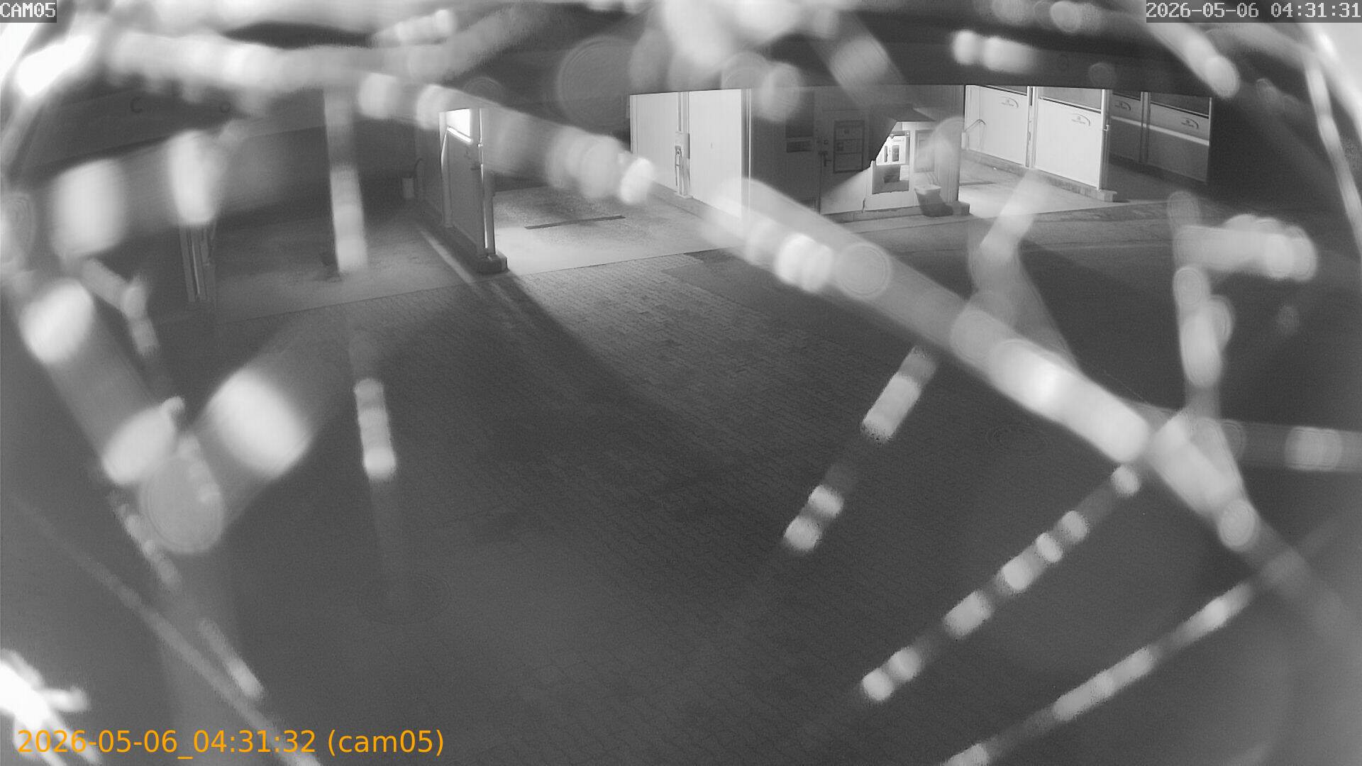 20260506043132
