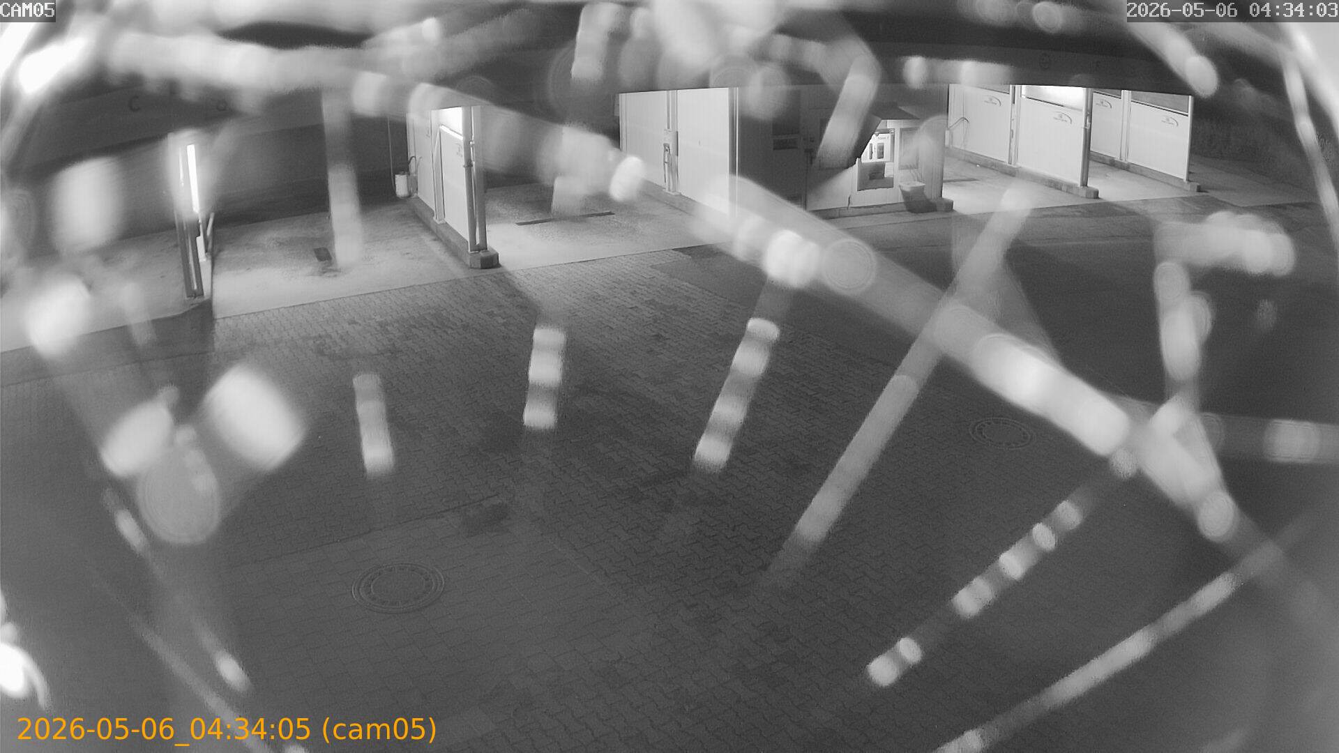 20260506043405