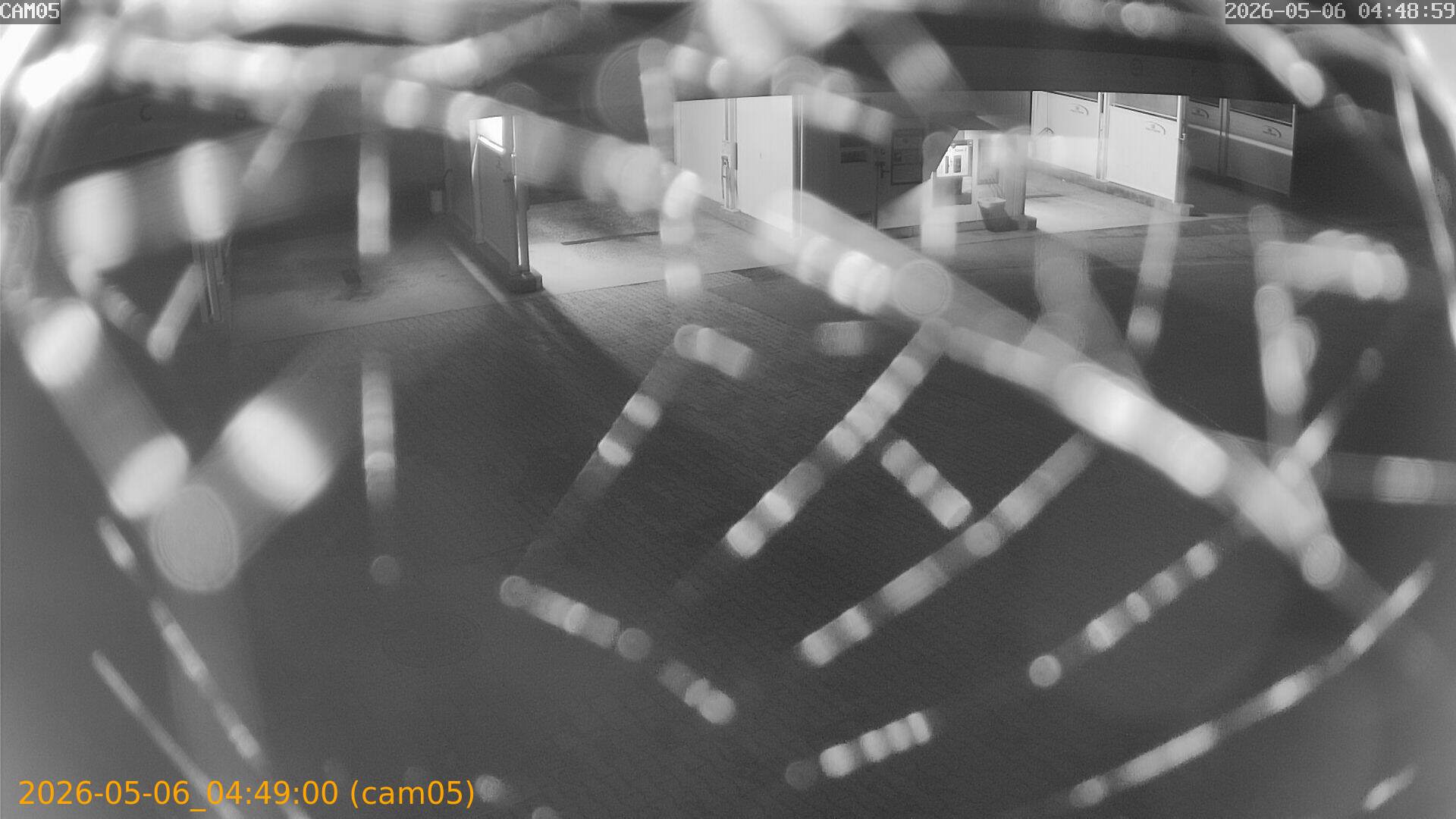 thumbnail_20260506044900