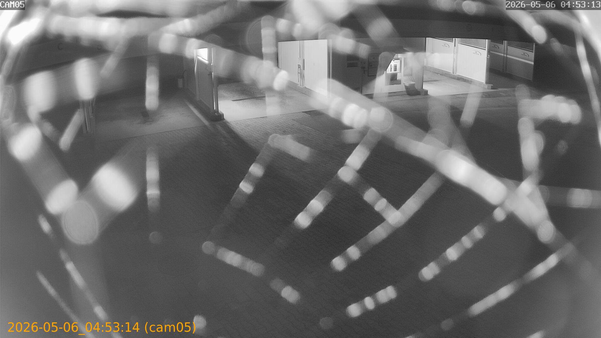 thumbnail_20260506045314