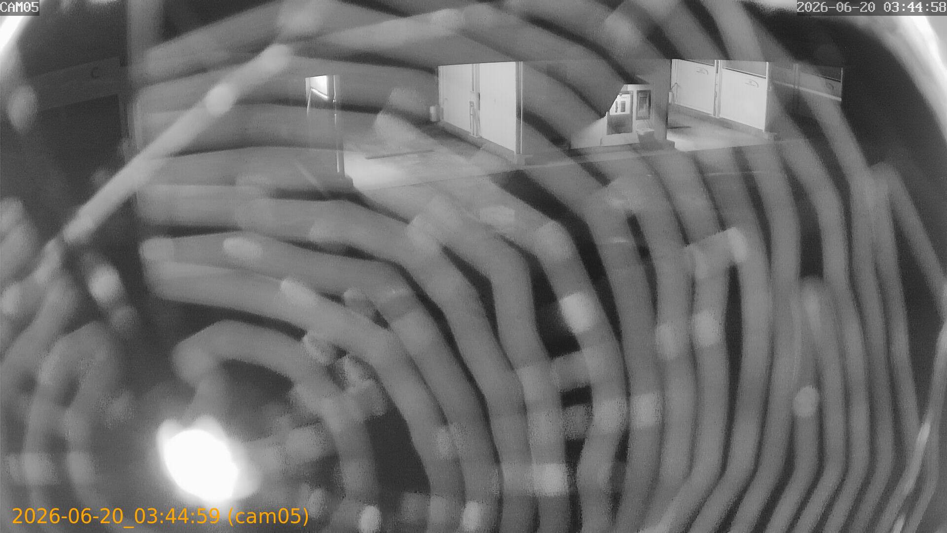 202606200344